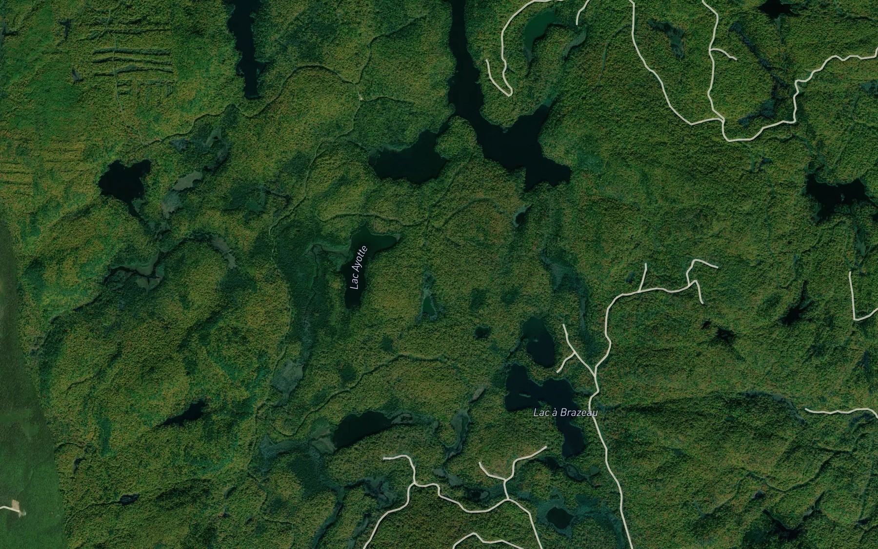 Satellite map of the Baie Hamilton