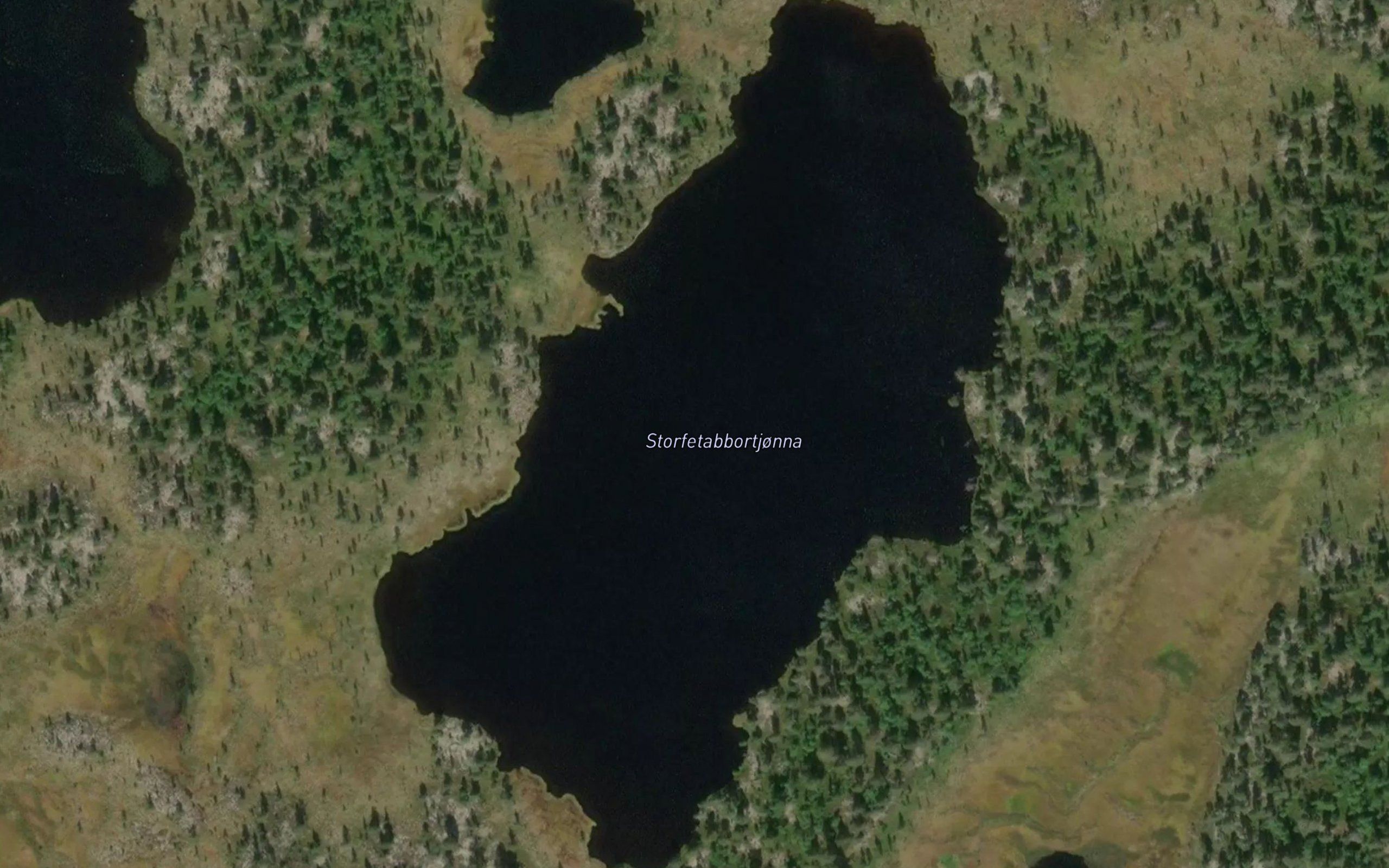 Storfetabbortjorna