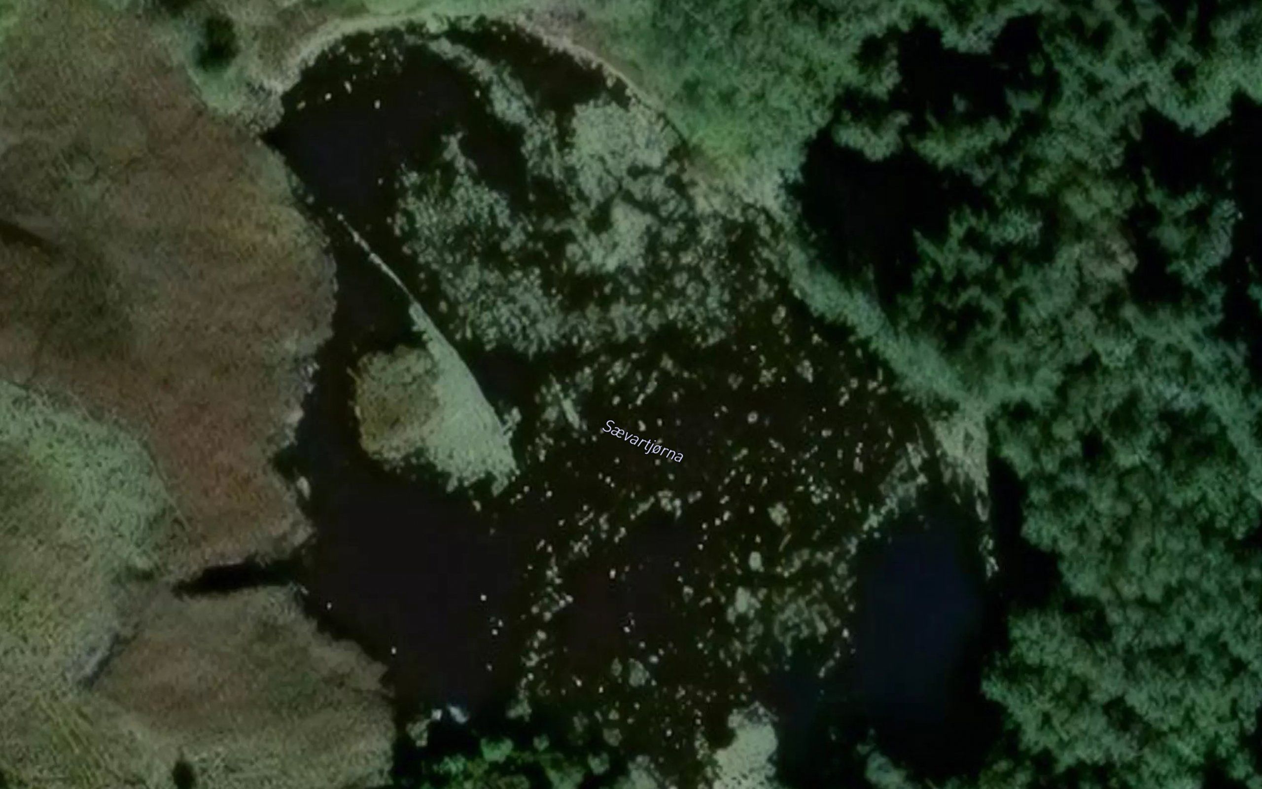 Saevartjorna