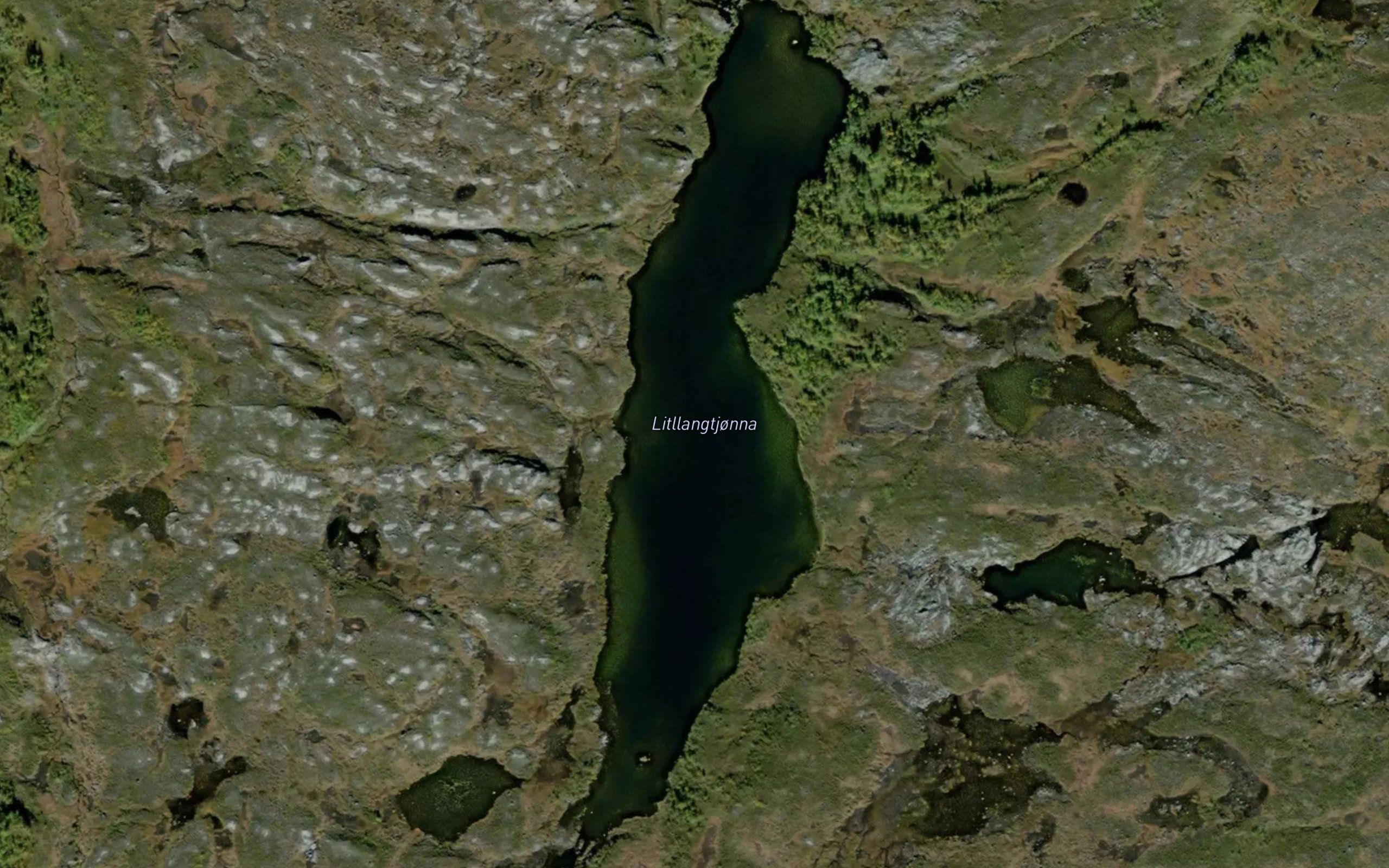 Langtjorna,l