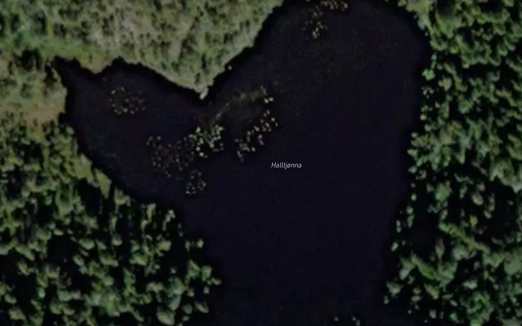 Satellite map of the Halltjorna