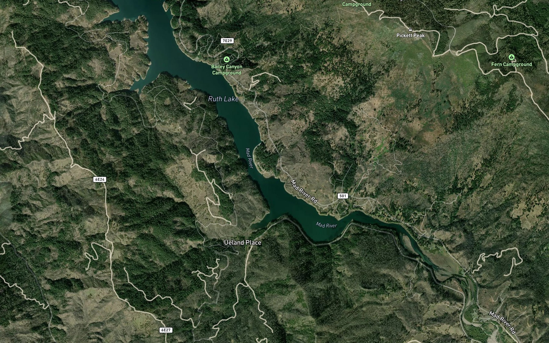 Satellite map of the Pickett Creek