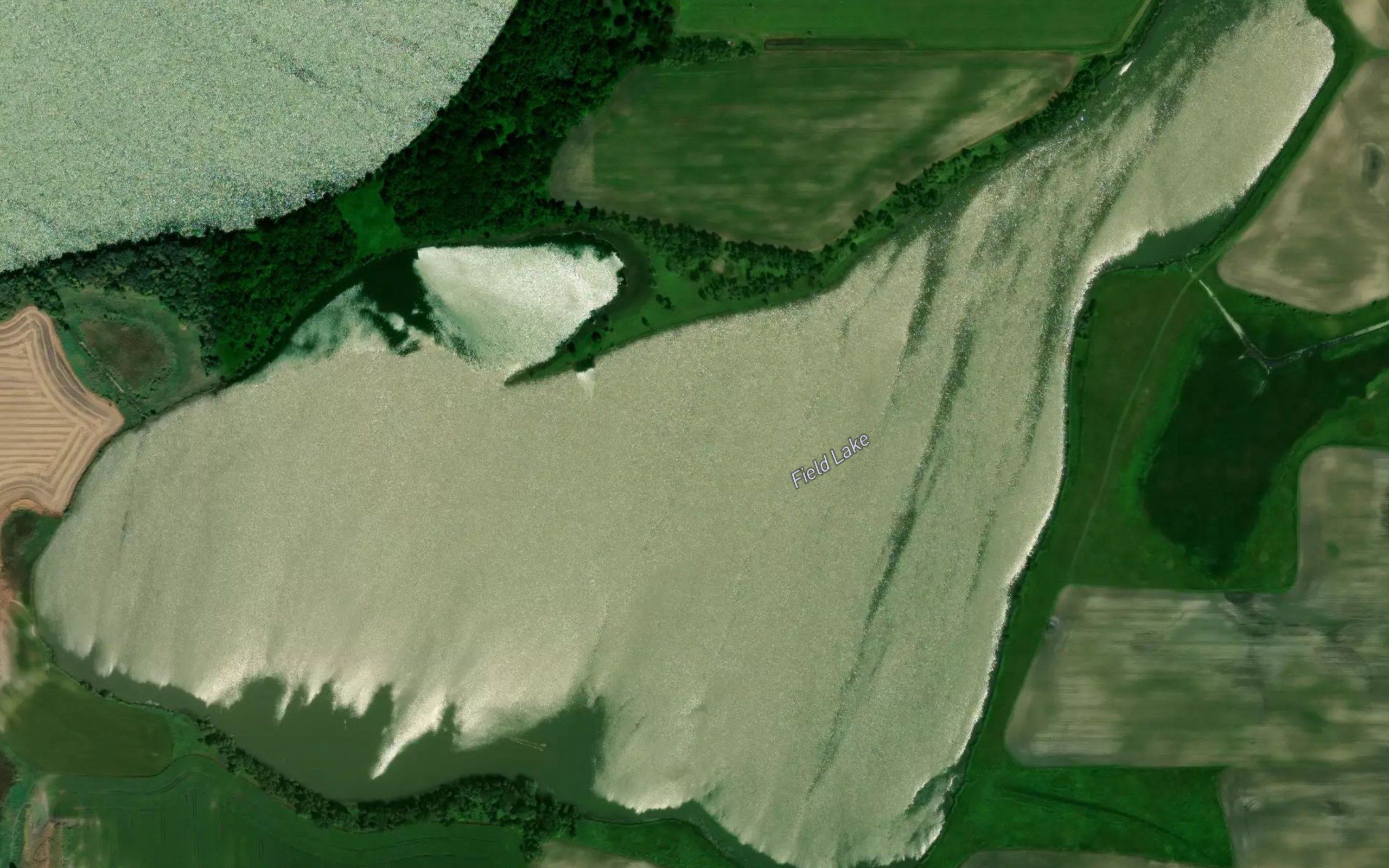 Field Lake