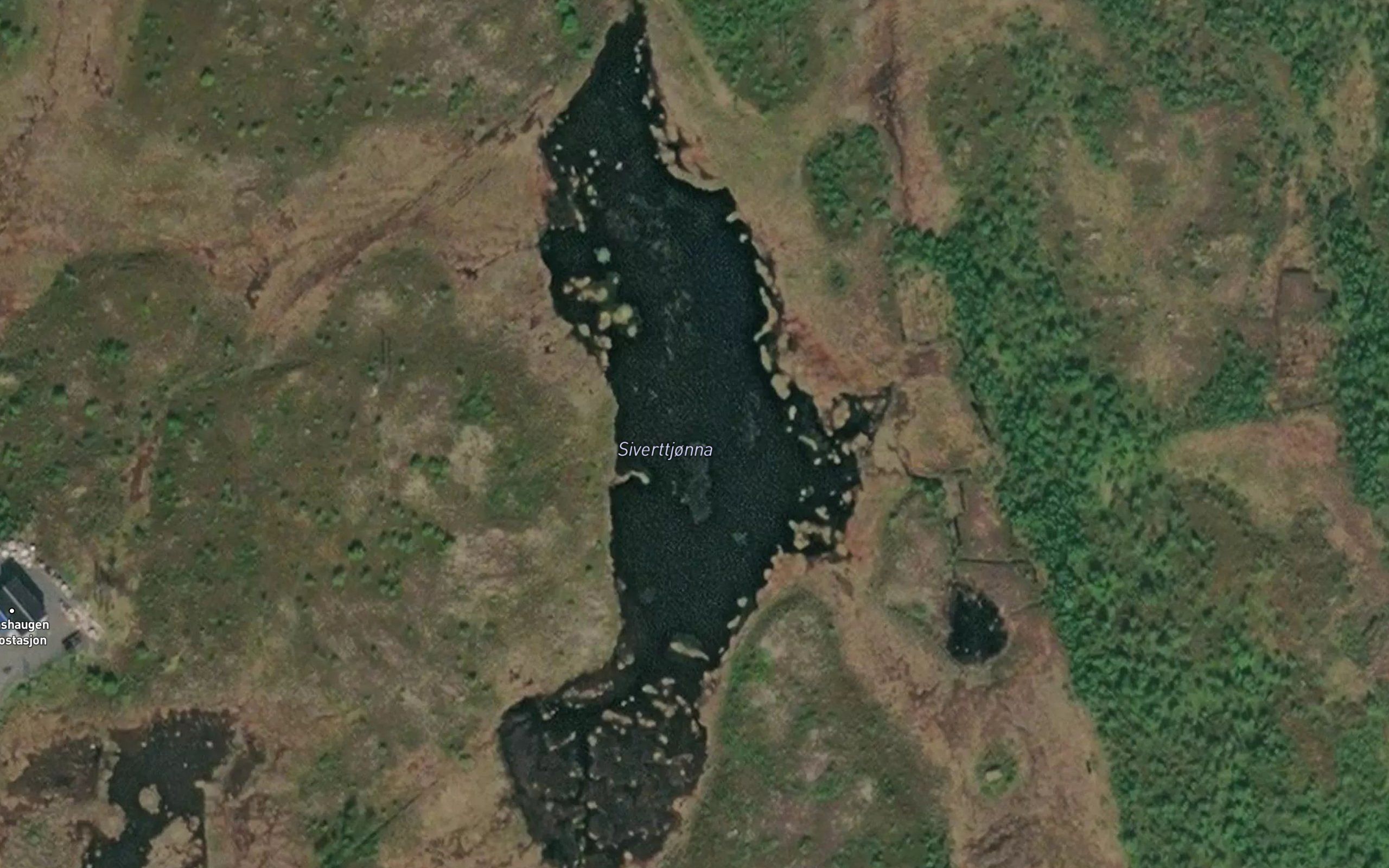 Siverttjorna