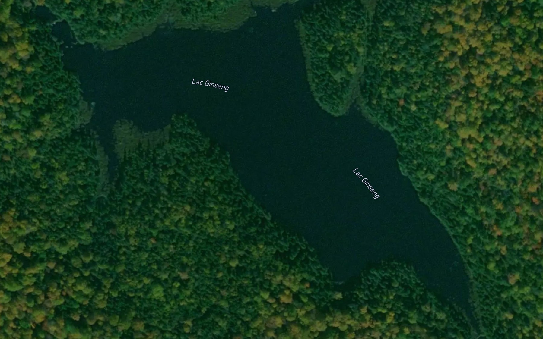 Satellite map of the Lac Ginseng