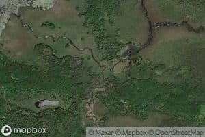 McGinnis Creek