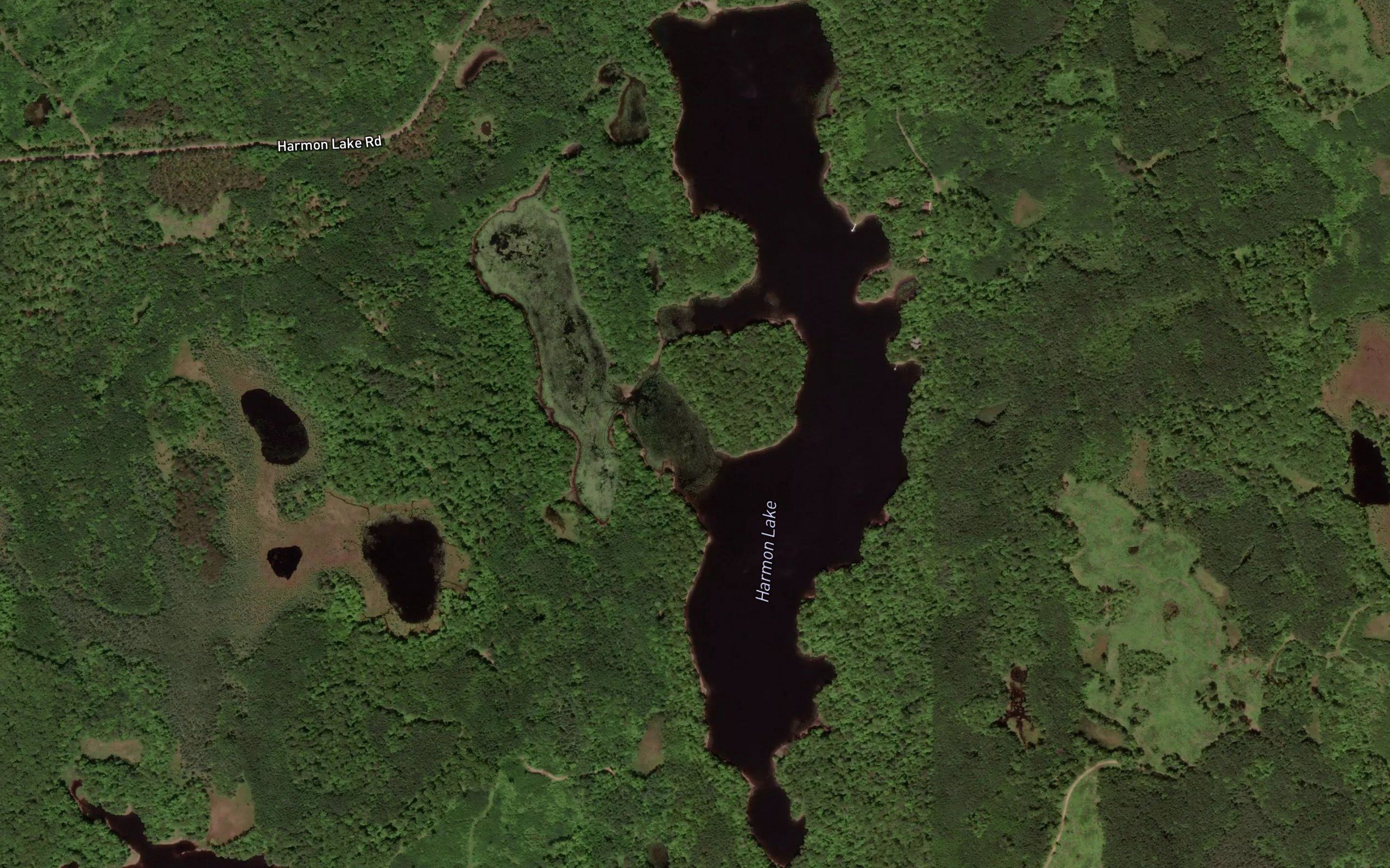 Harmon Lake