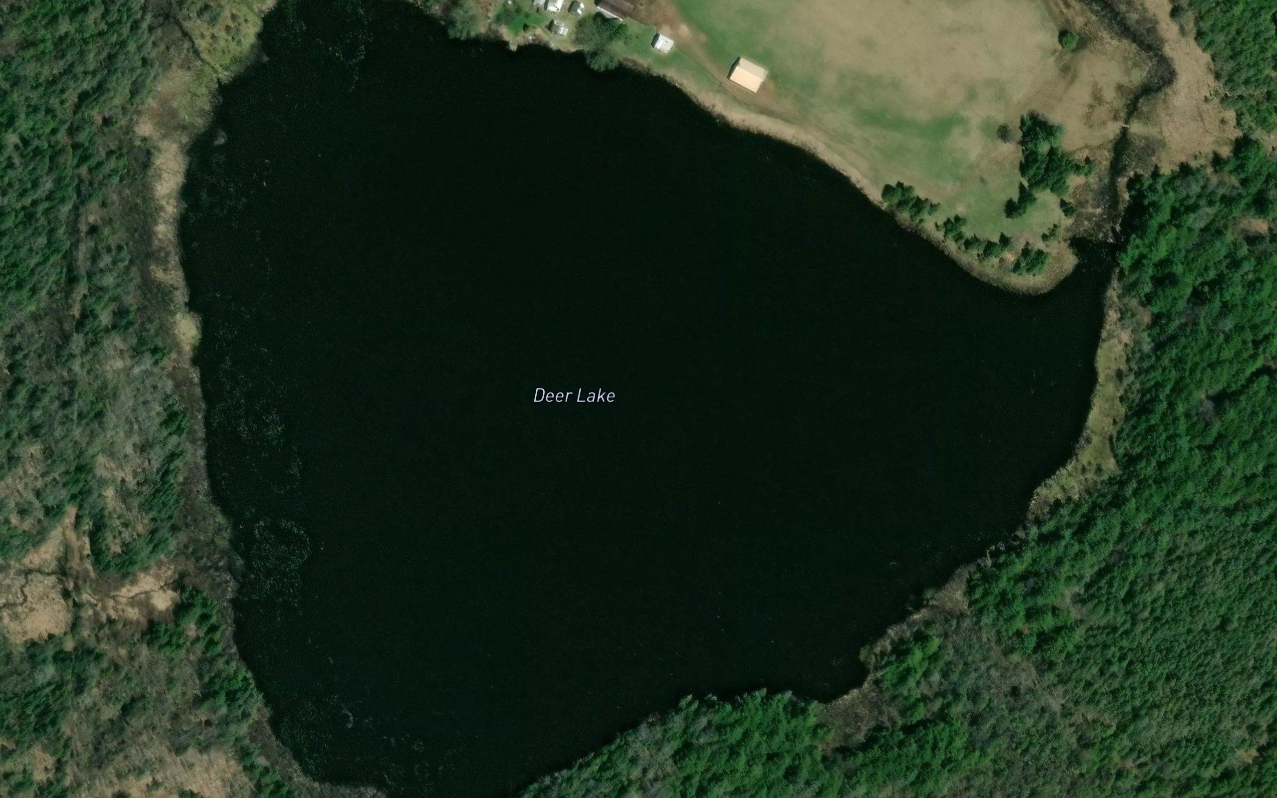 Deer Lake