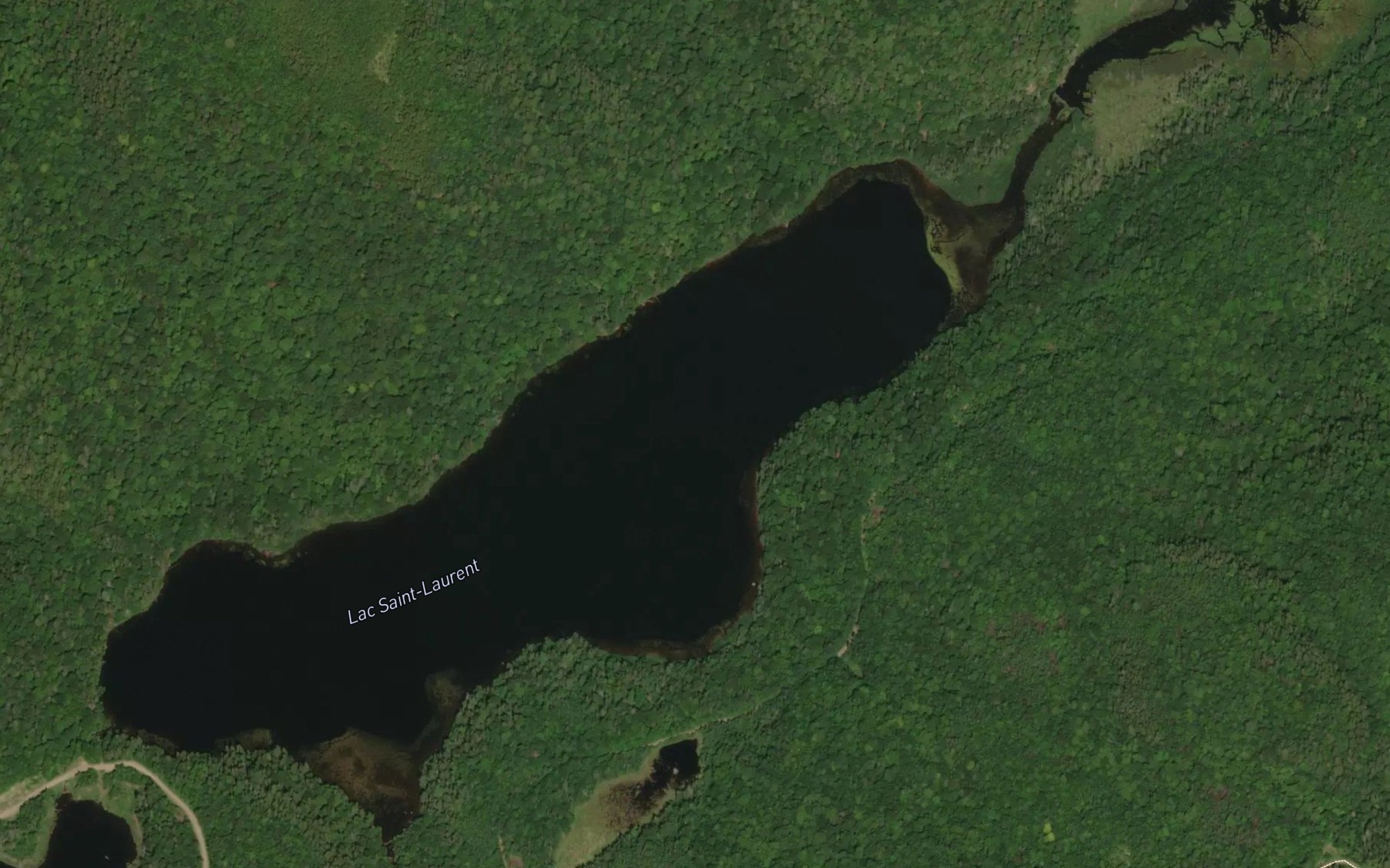 Satellite map of the Lac Saint-Laurent