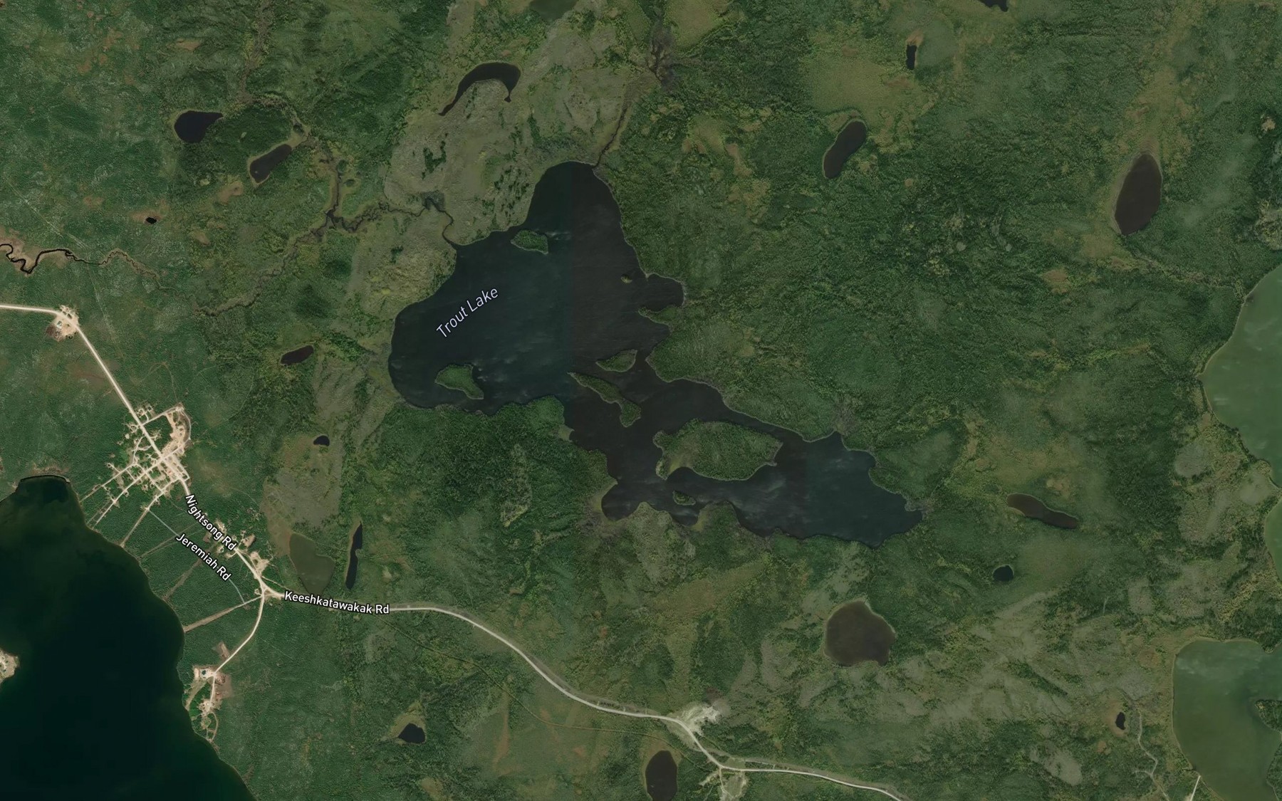 Satellite map of the Trout Lake