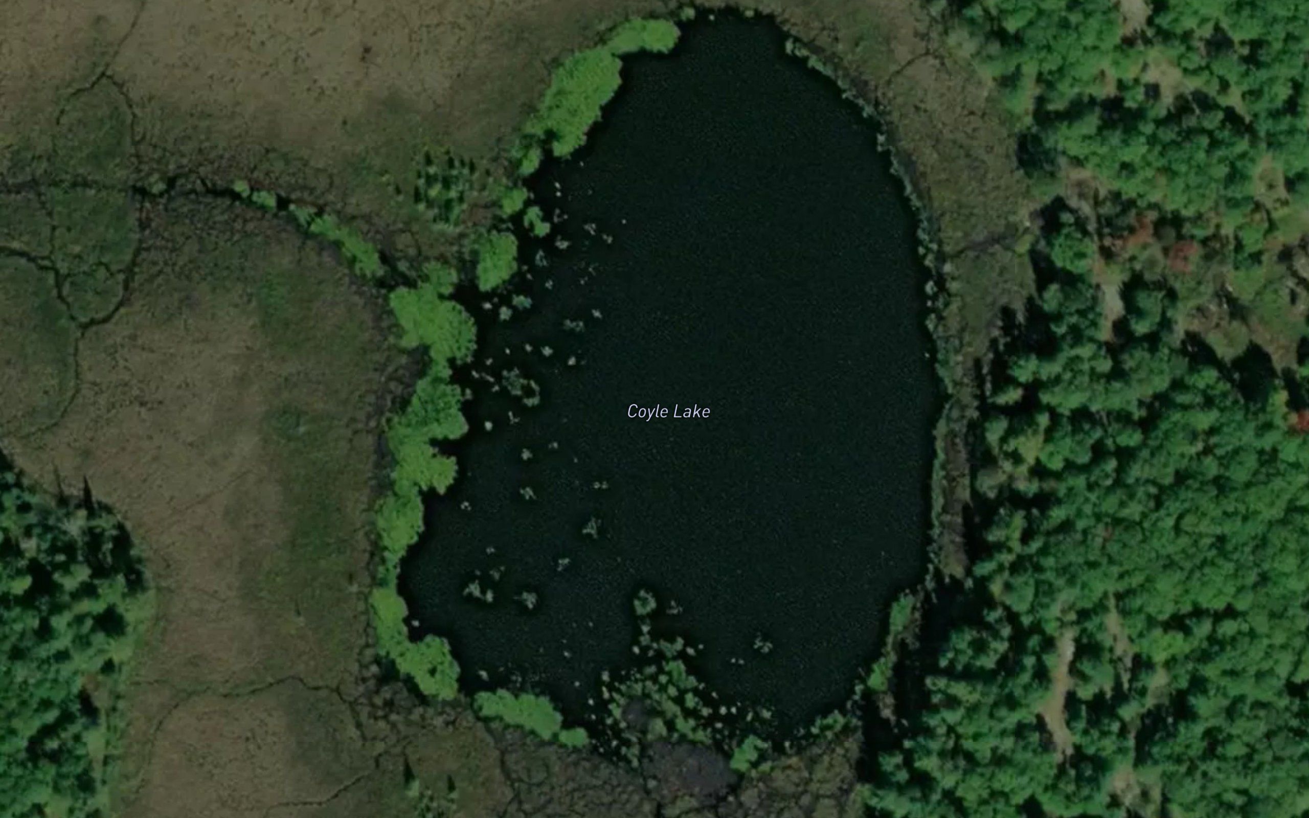 Coyle Lake