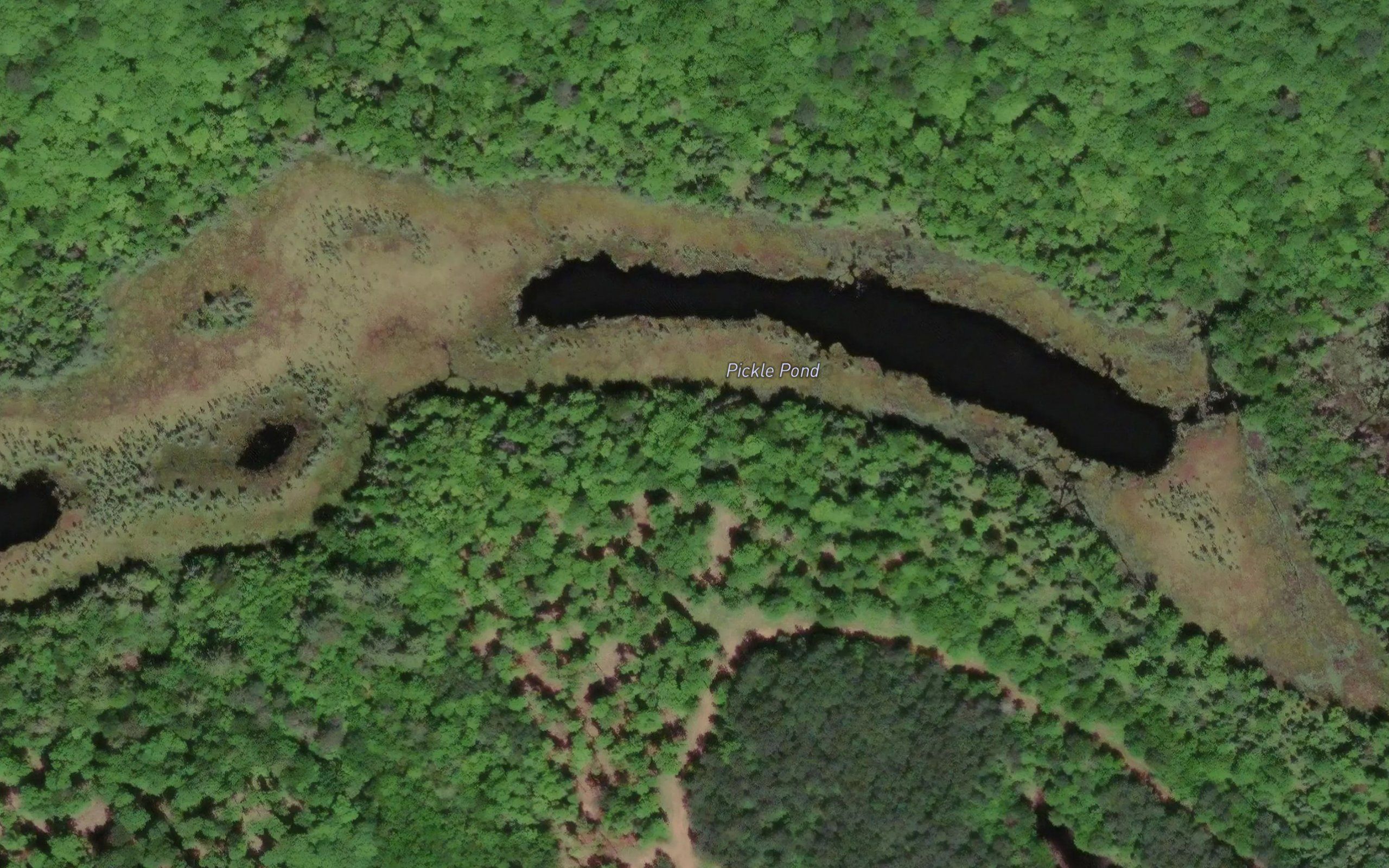 Pickle Pond