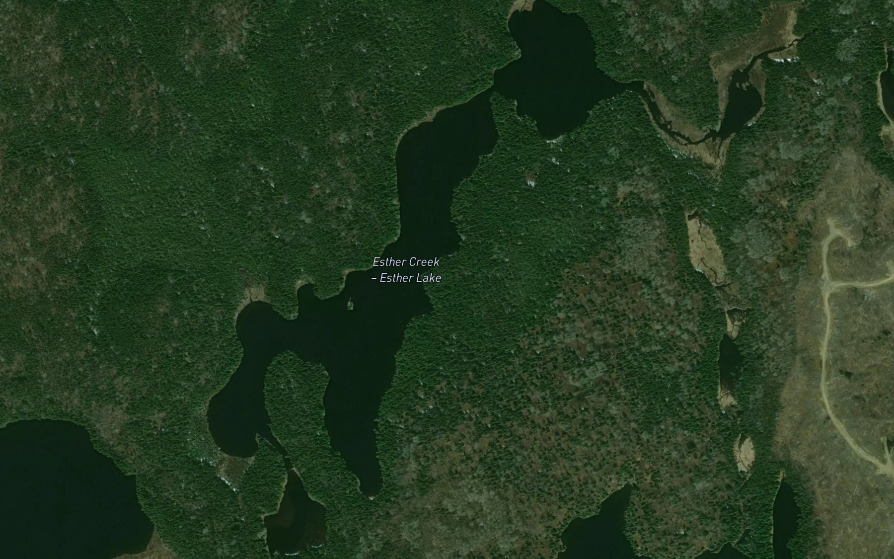 Satellite map of the Esther Lake