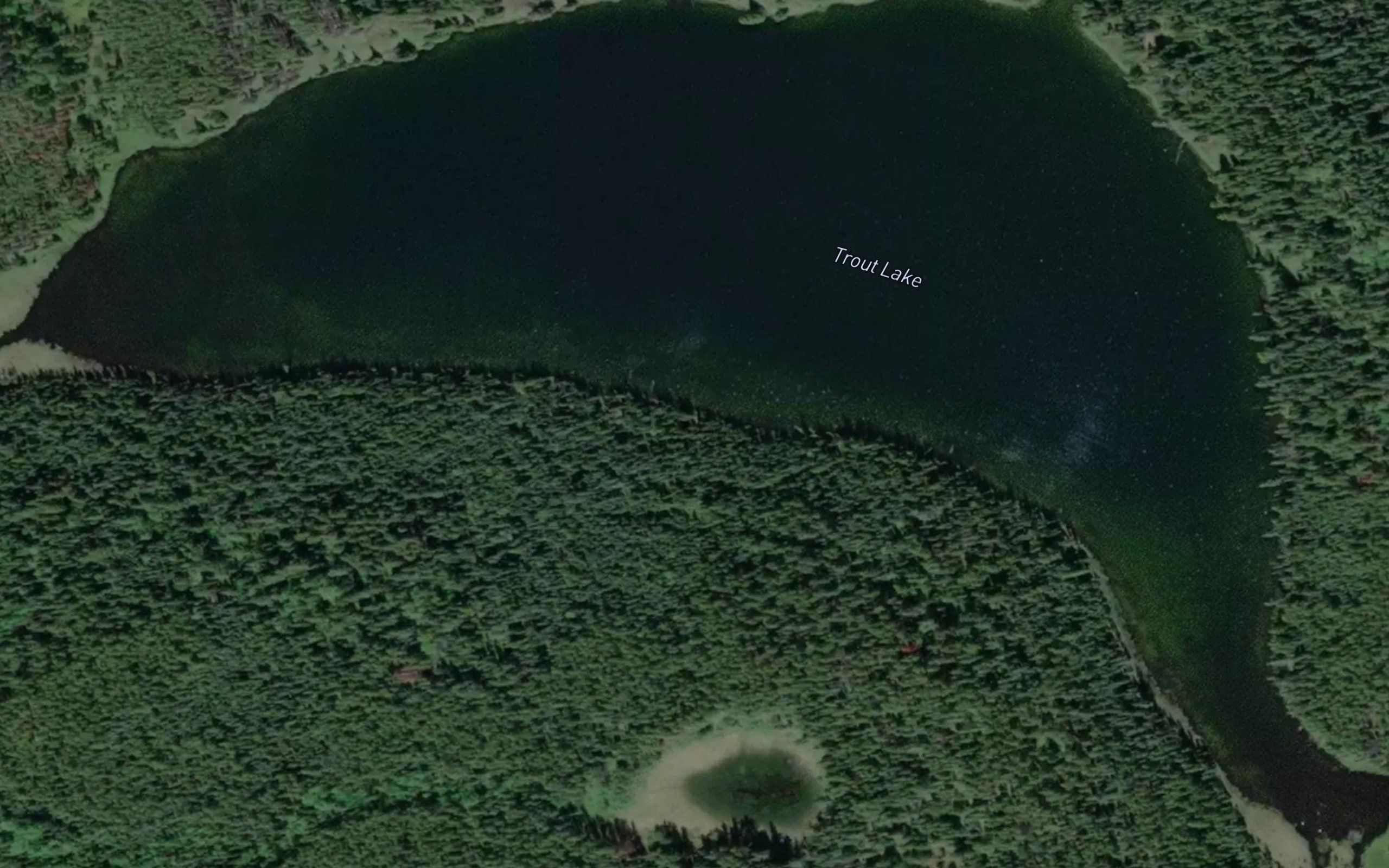 Trout Lake