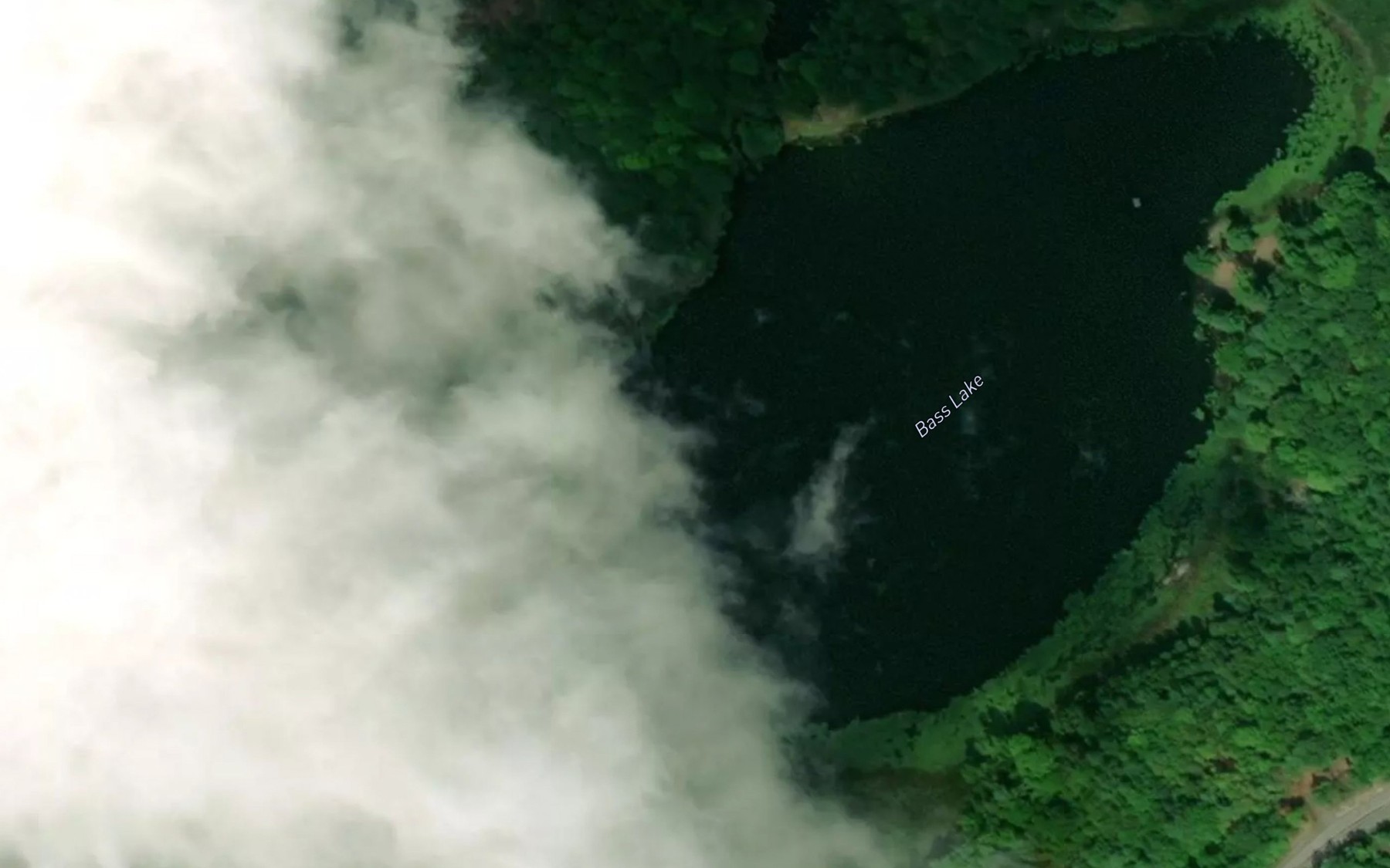 Satellite map of the Bass Lake