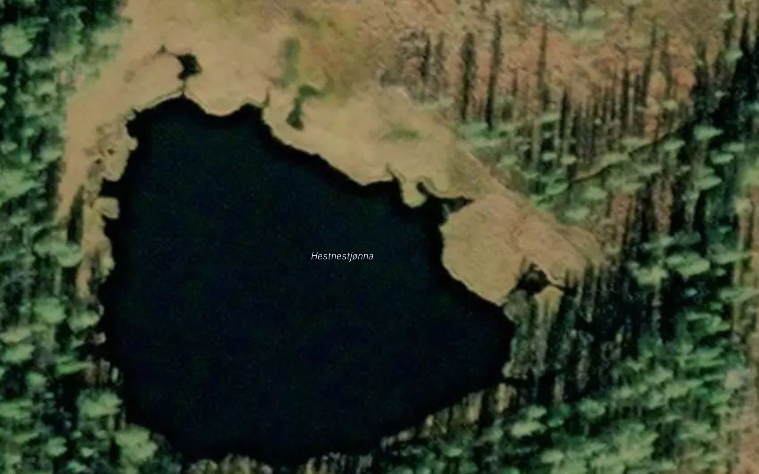 Hestnestjorna