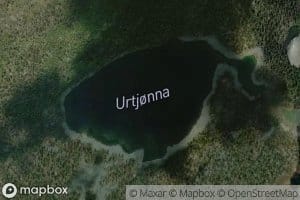 Urtjonna