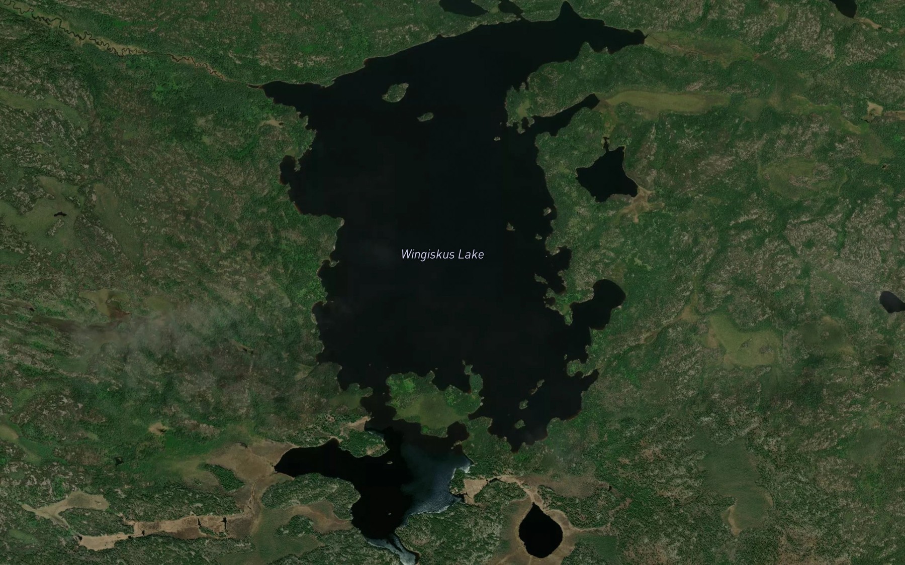 Satellite map of the Wingiskus Lake