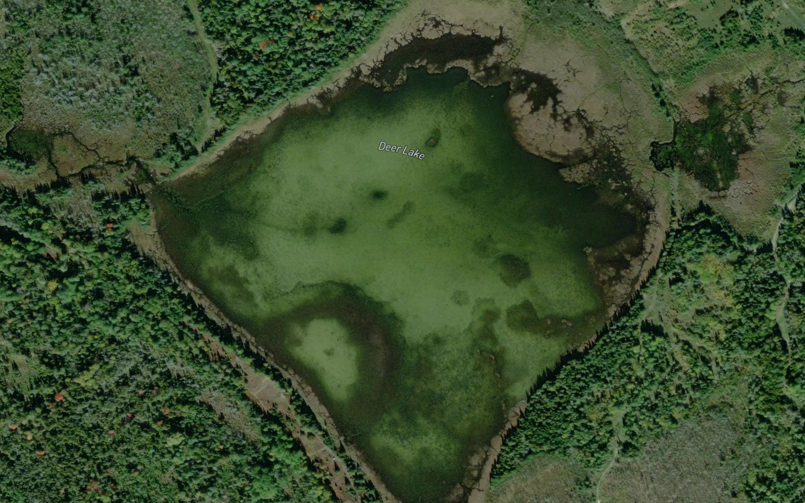 Deer Lake