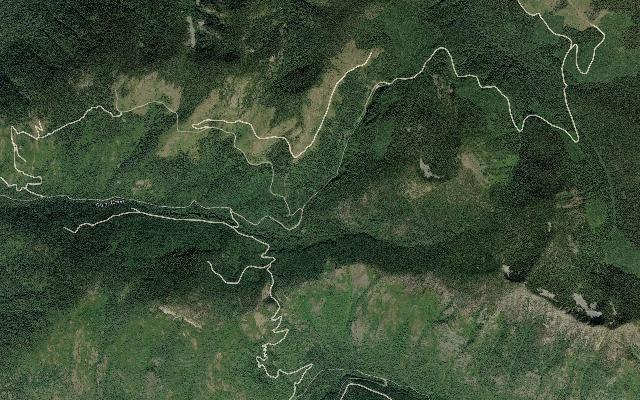 Dunlop Creek