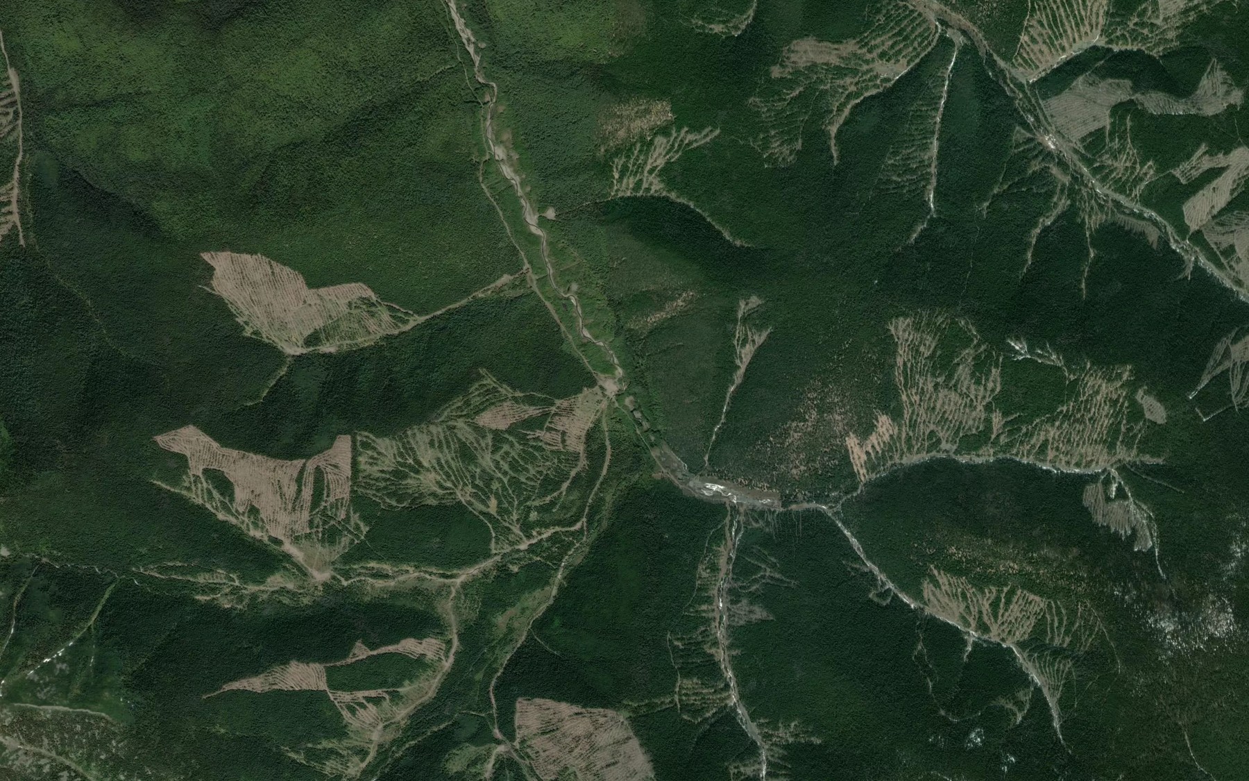 Satellite map of the Yelovka