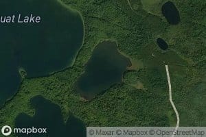 Weedy Lake