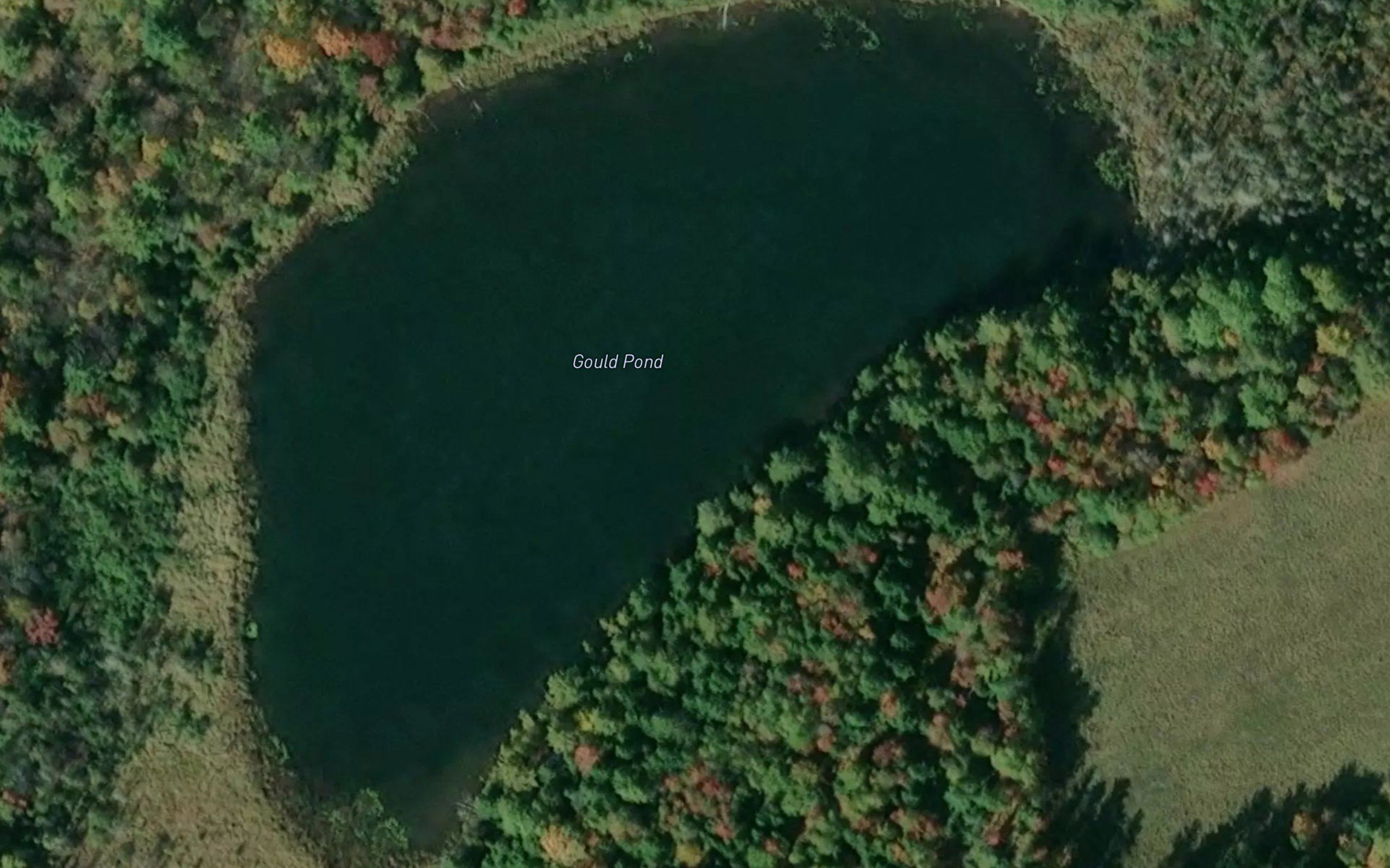 Gould Pond