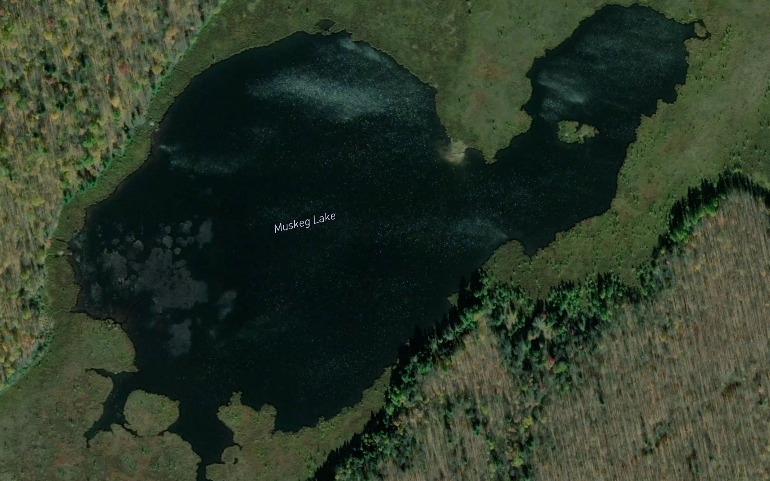 Muskeg Lake
