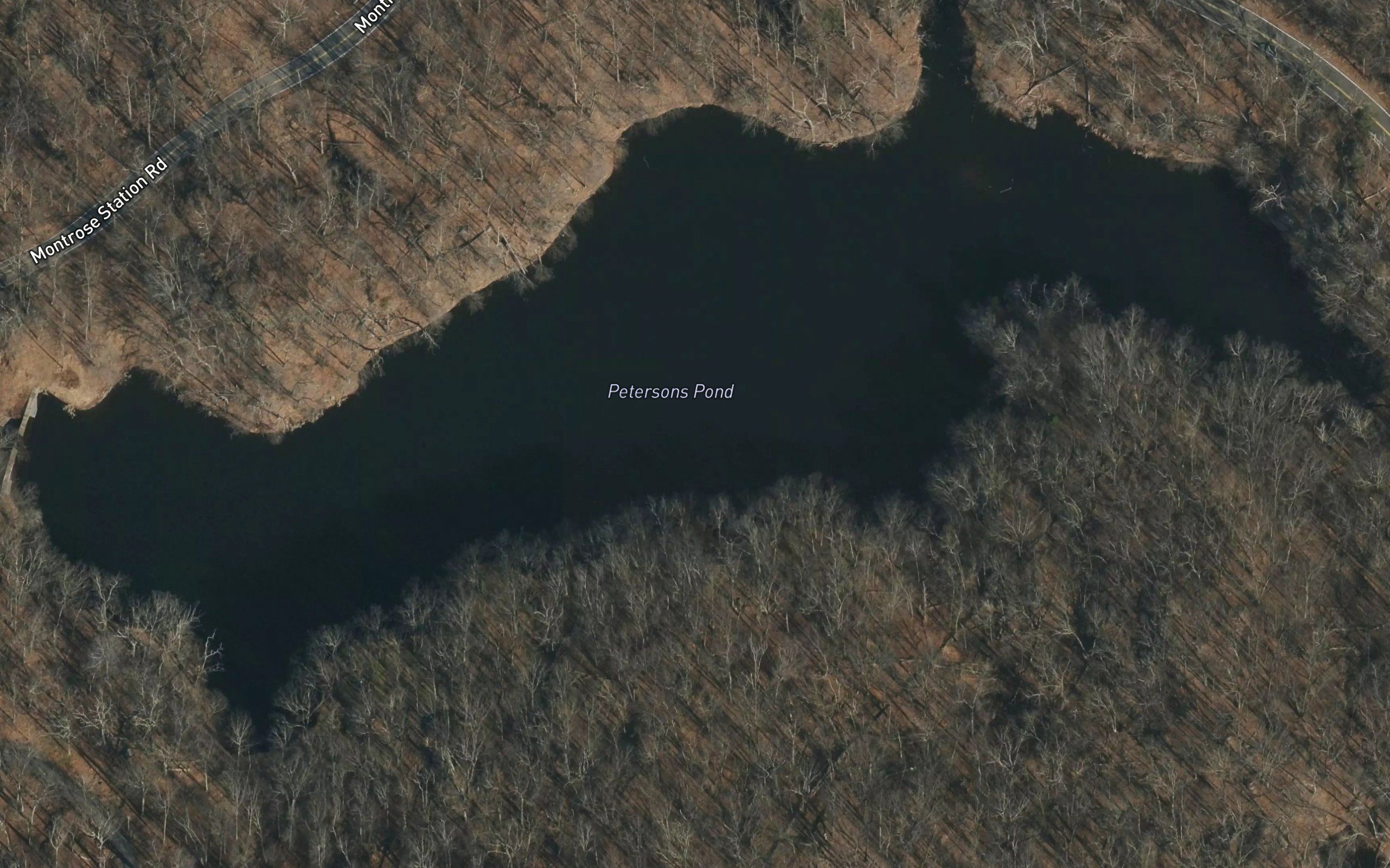 Petersons Pond