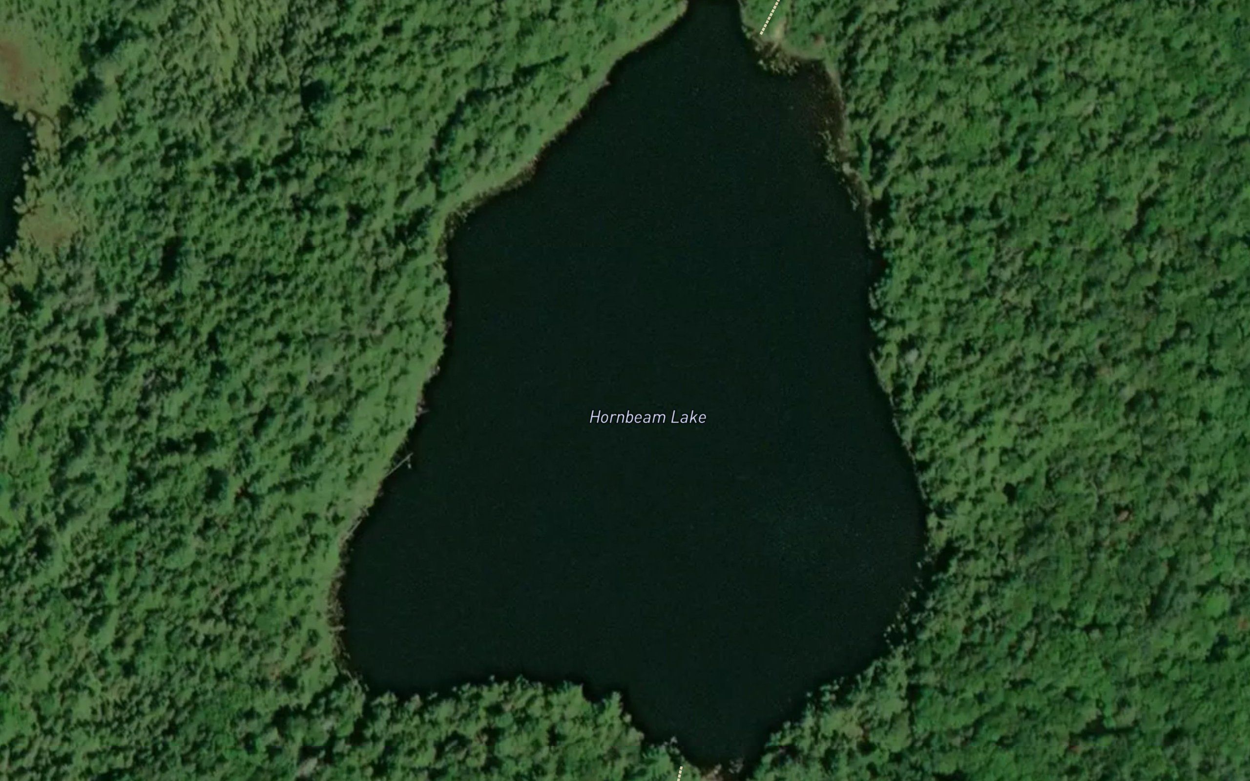 Hornbeam Lake
