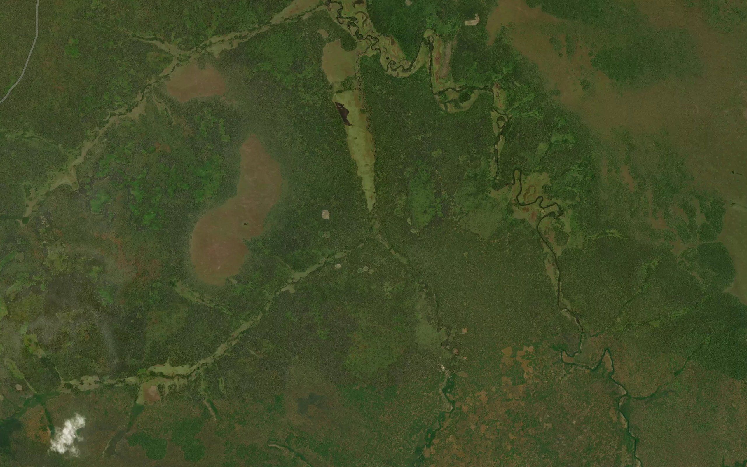 Kalombi