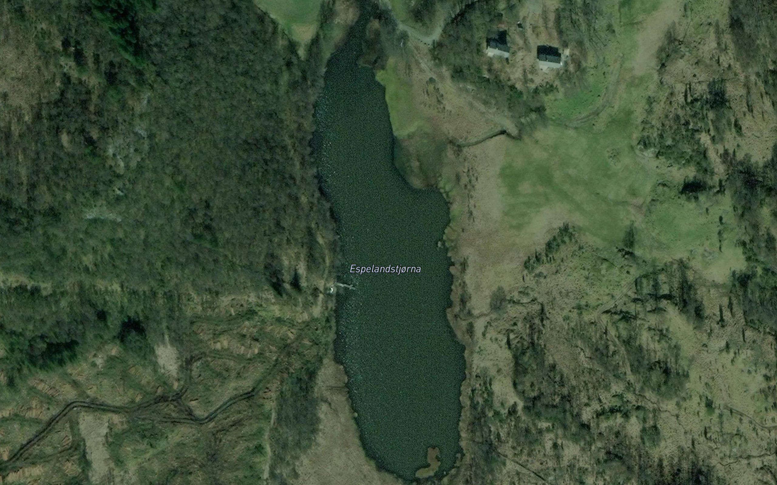Espelandstjorna