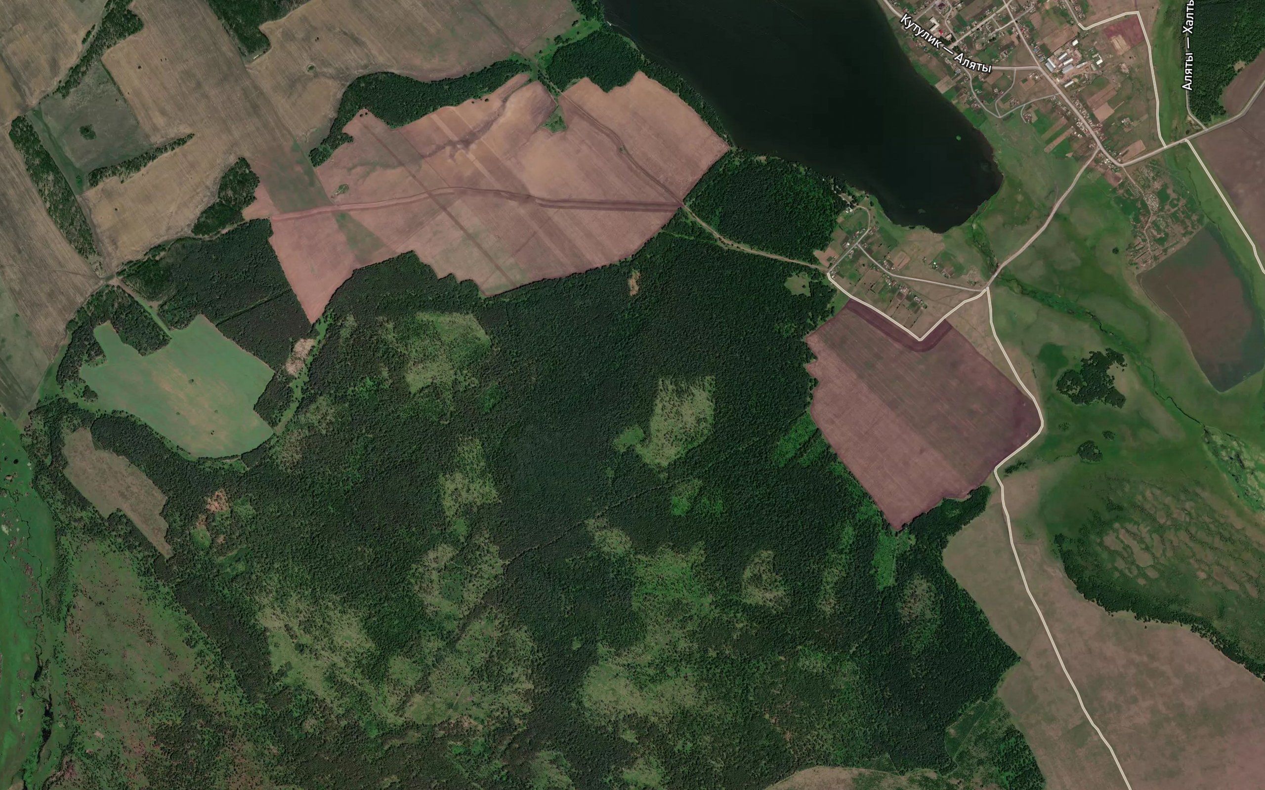 Pad' Taraskina