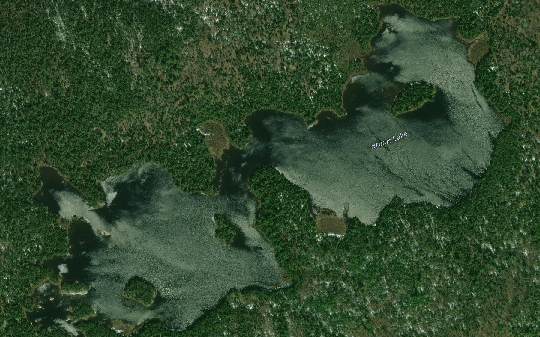 Satellite map of the Brutus Lake