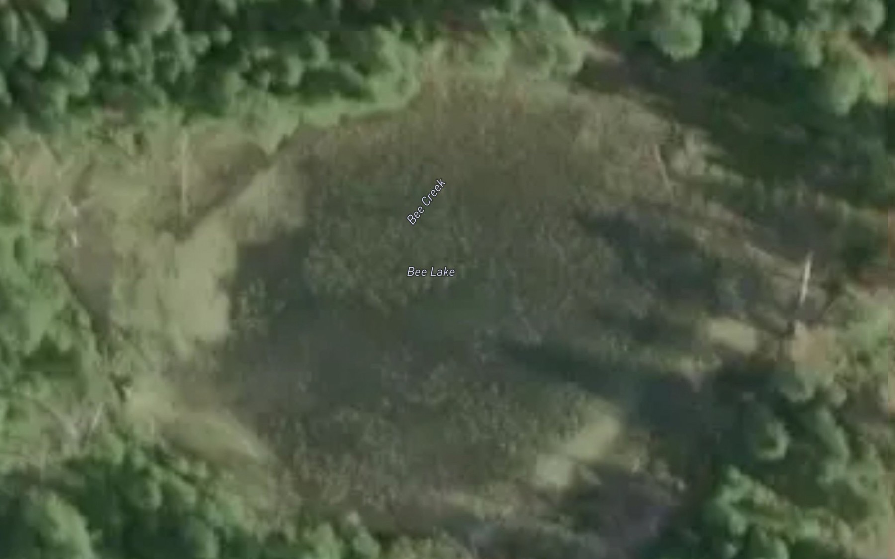 Satellite map of the Bee Lake