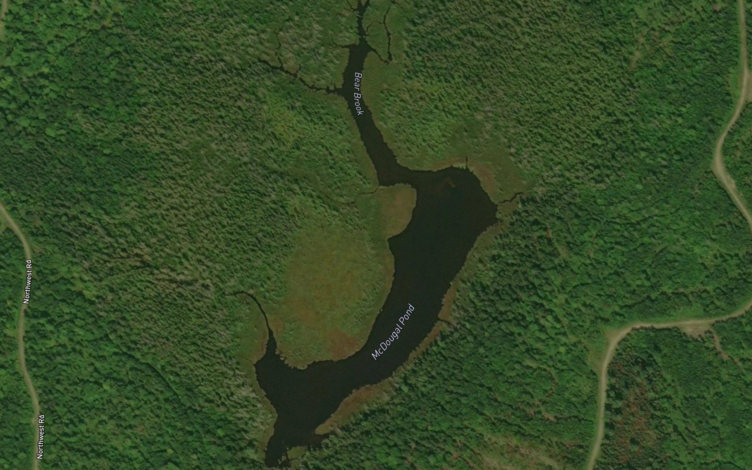 McDougal Pond