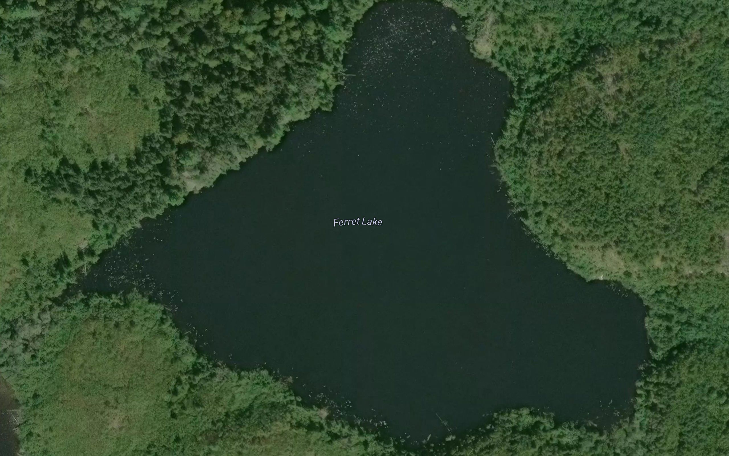 Ferret Lake