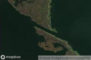 Polk and Dallas Bayou