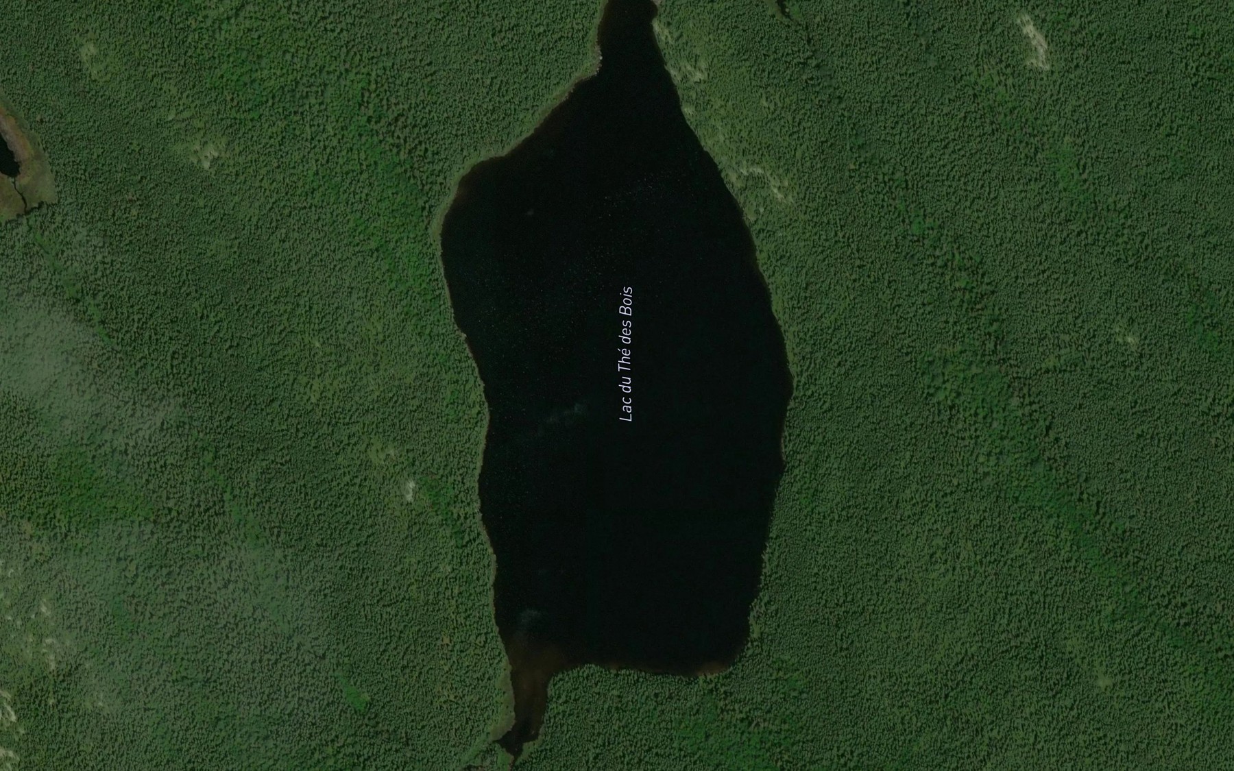 Satellite map of the Lac du The des Bois