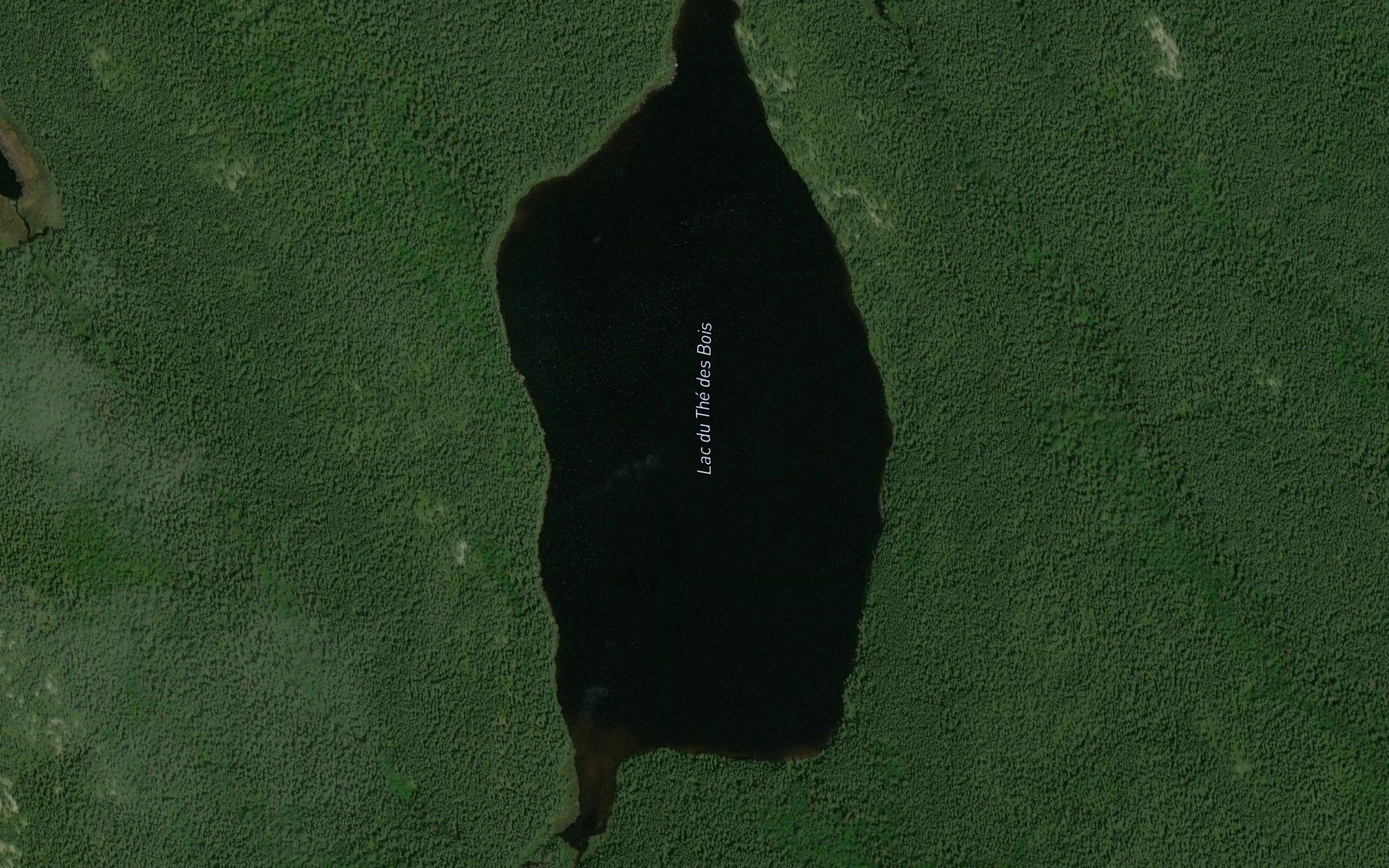 Lac du The des Bois