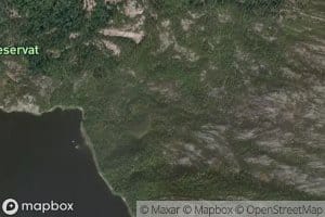 Bogeelva