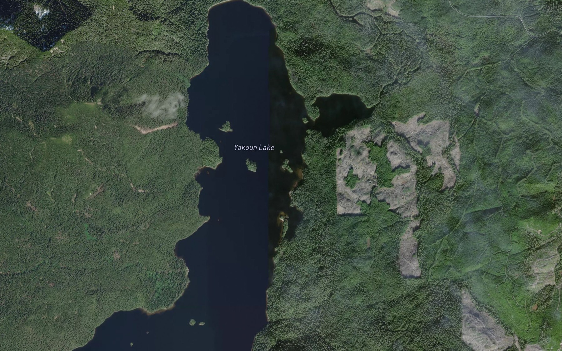Satellite map of the Yakoun Lake