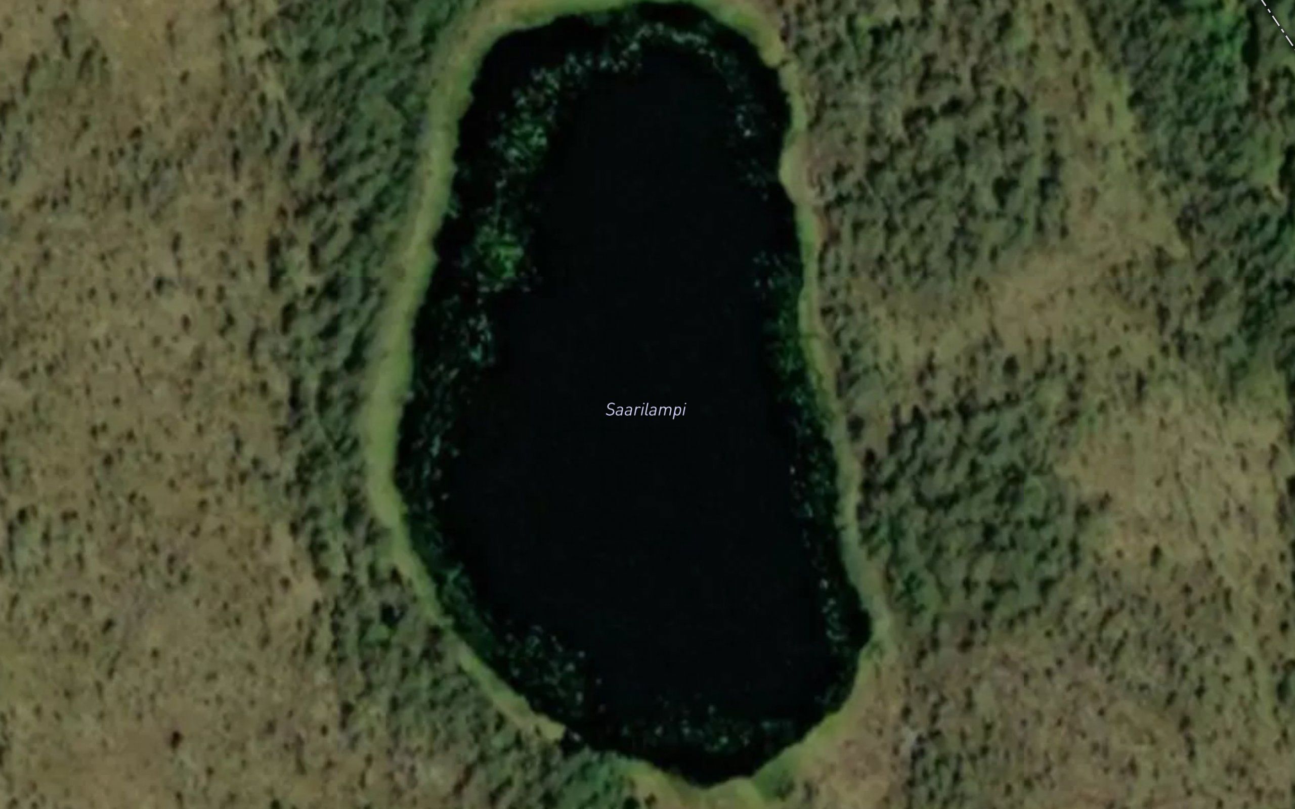 Saarilampi