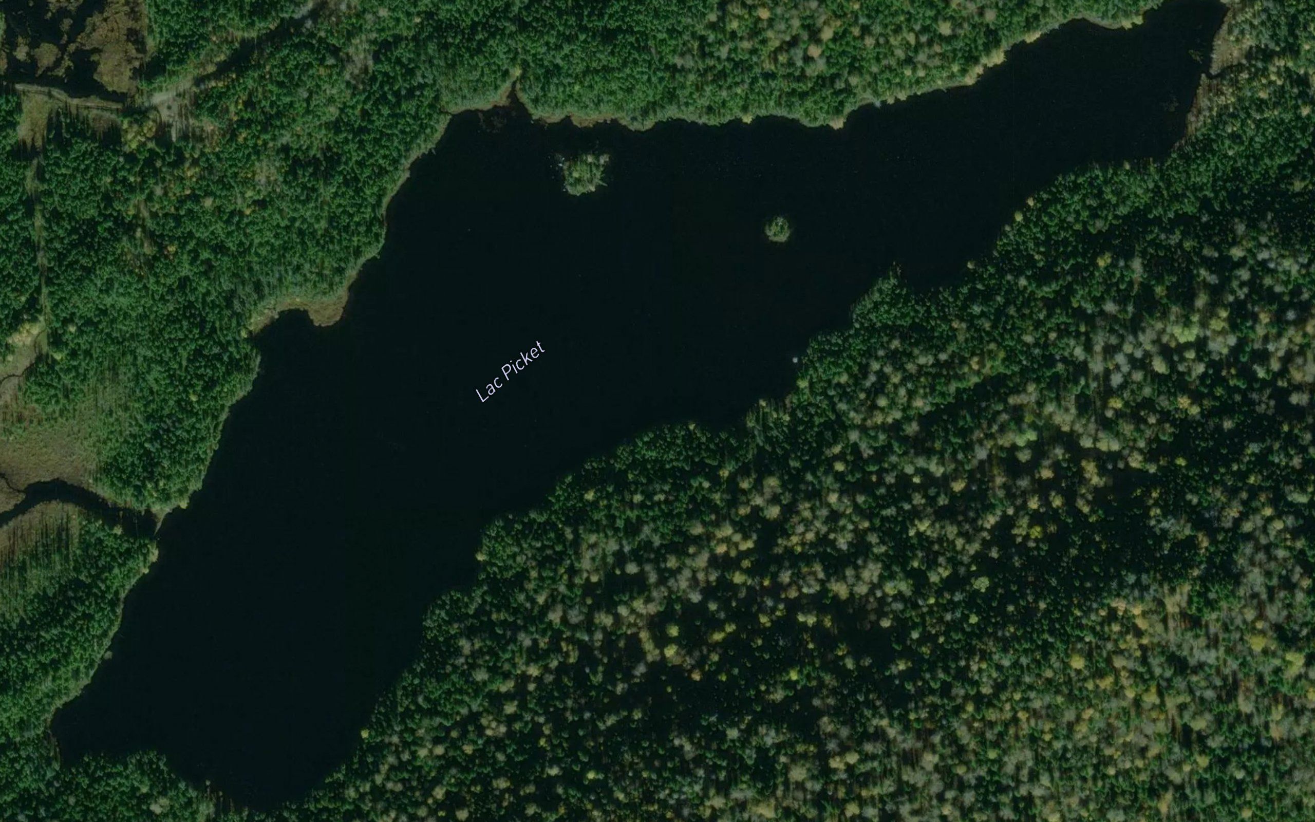 Lac Picket