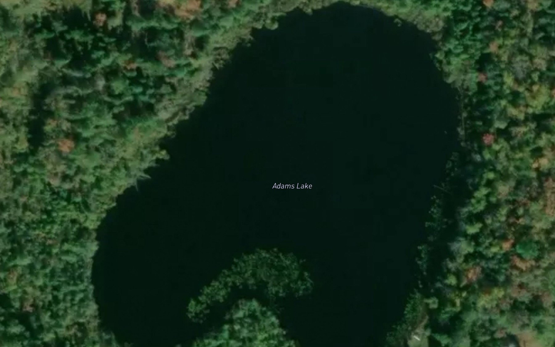 Satellite map of the Adams Lake