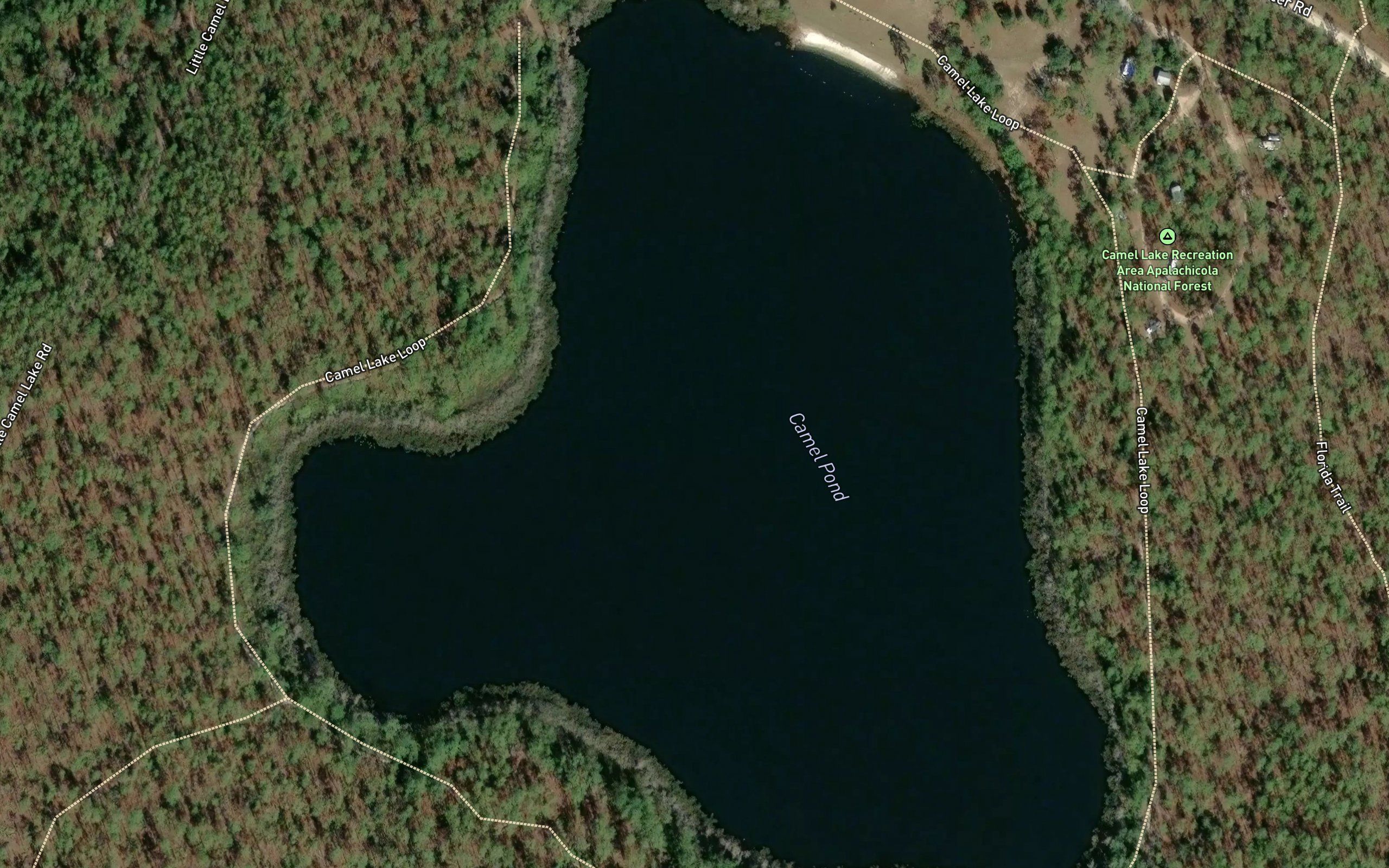 Camel Pond