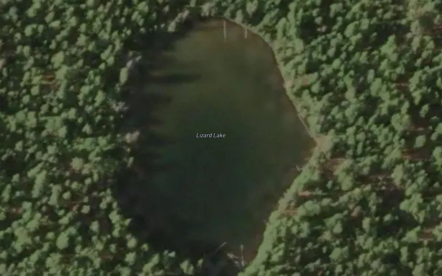 Satellite map of the Lizard Lake
