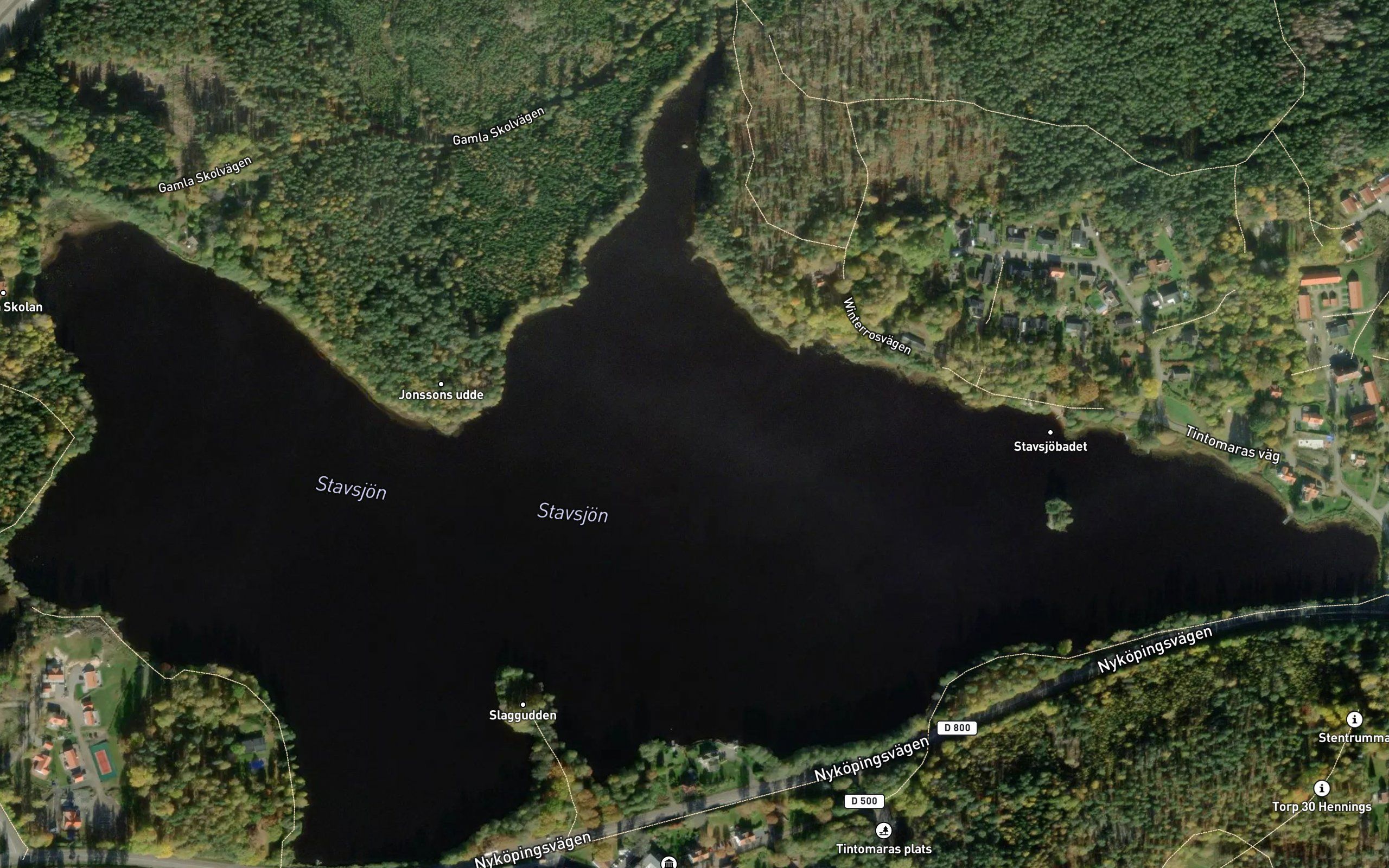 Stavsjon