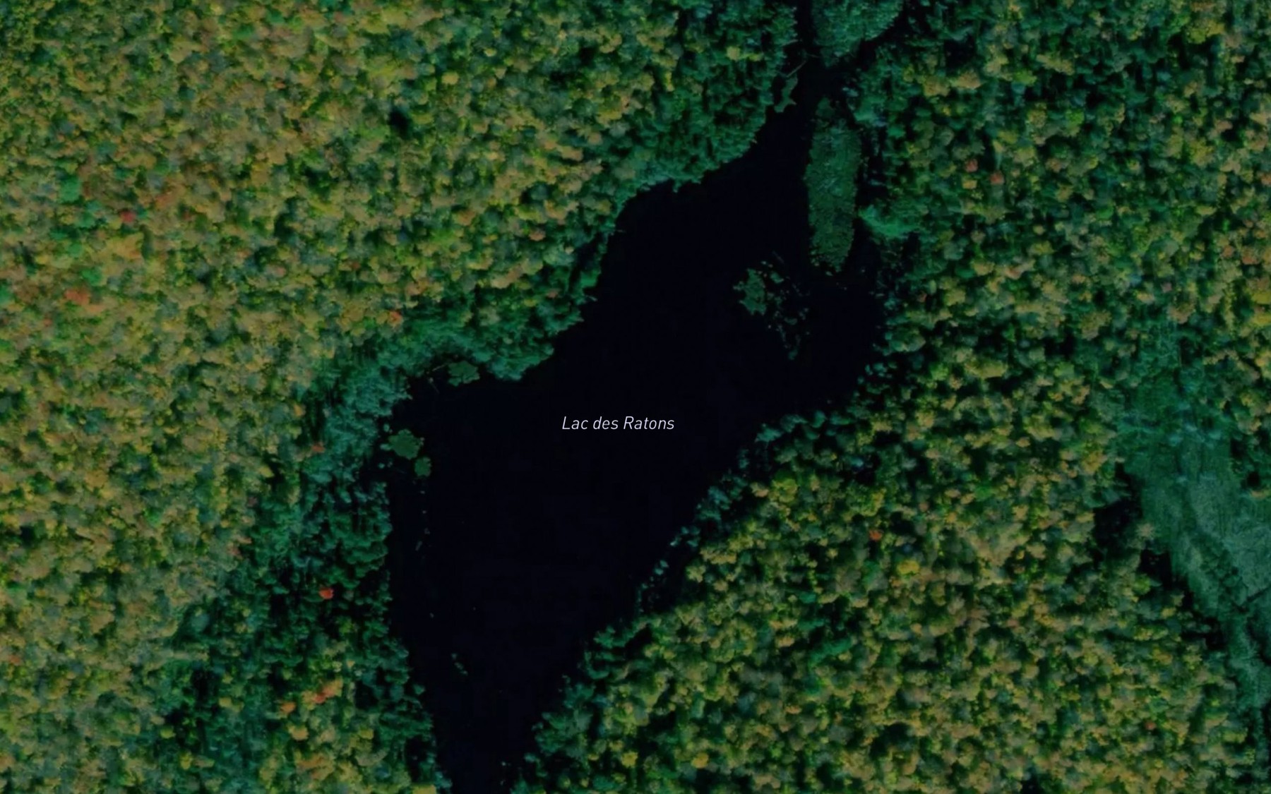 Satellite map of the Lac des Ratons