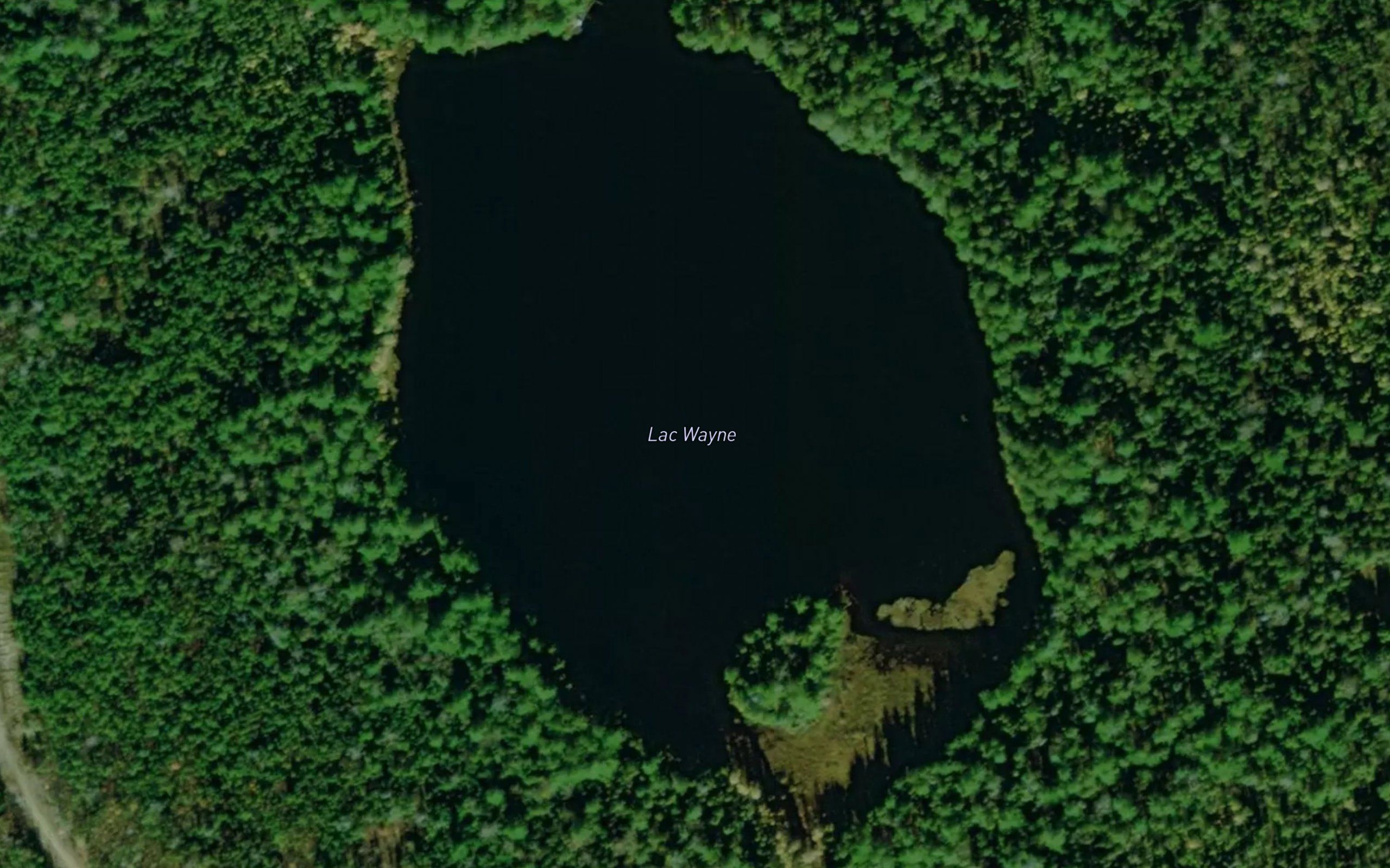 Lac Wayne